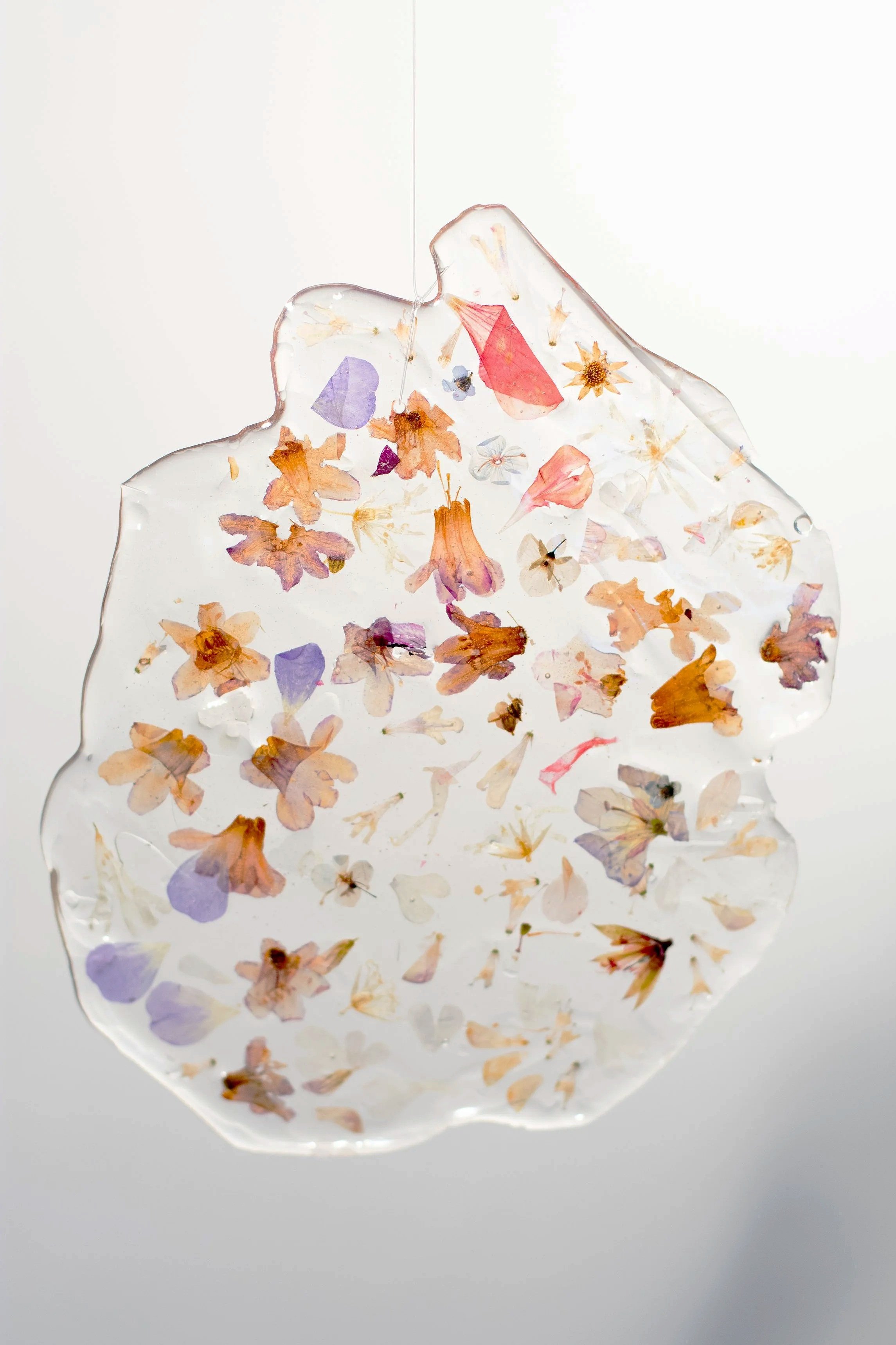 PetalNew-056.jpg