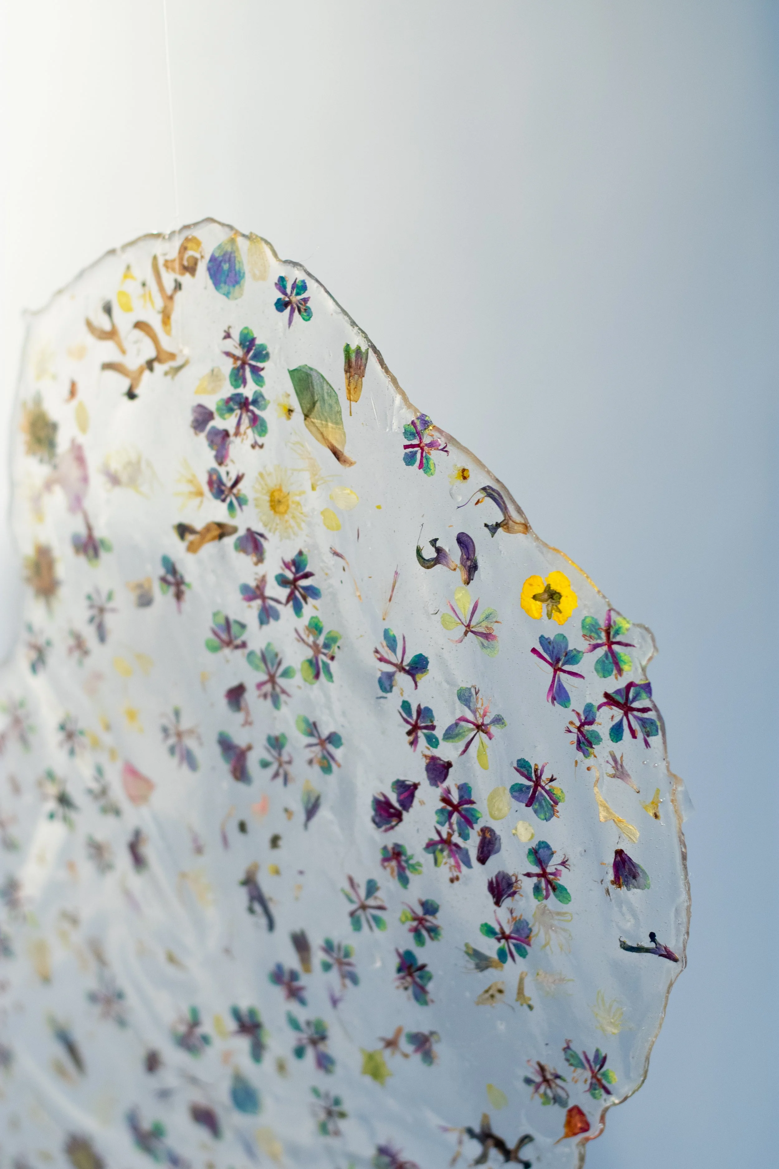 PetalNew-021.jpg