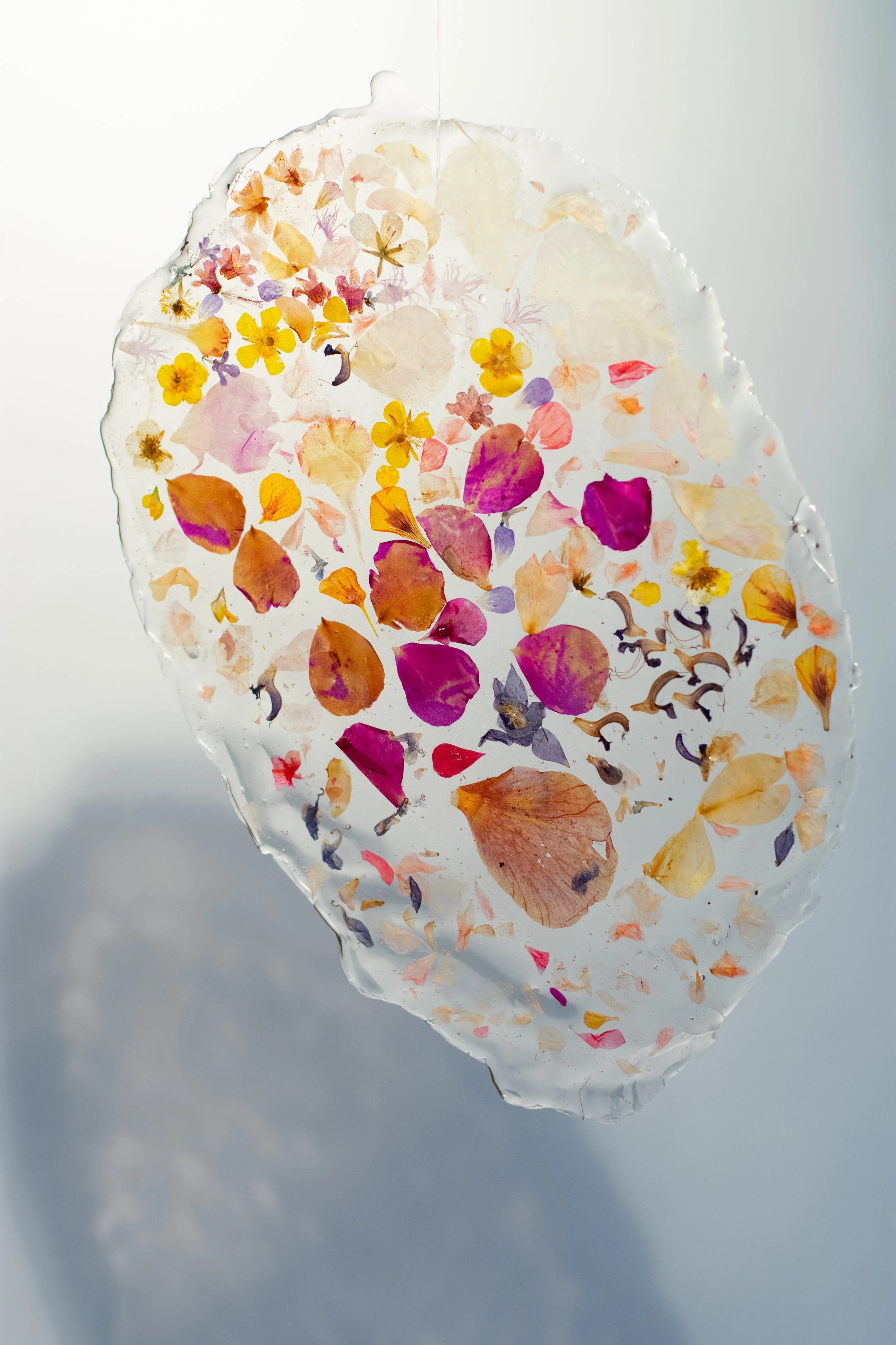 Petals-053.jpg
