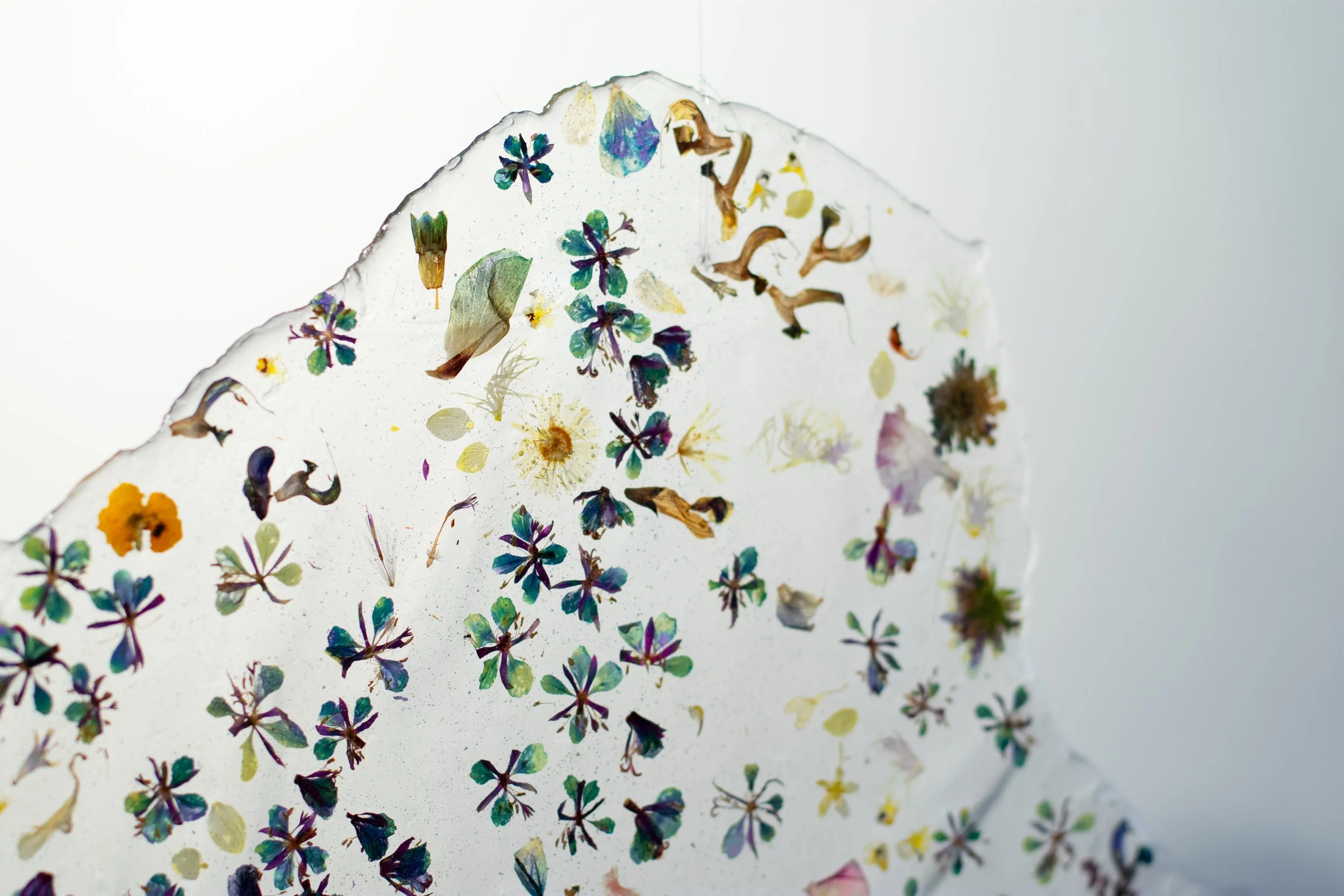 PetalNew-017.jpg