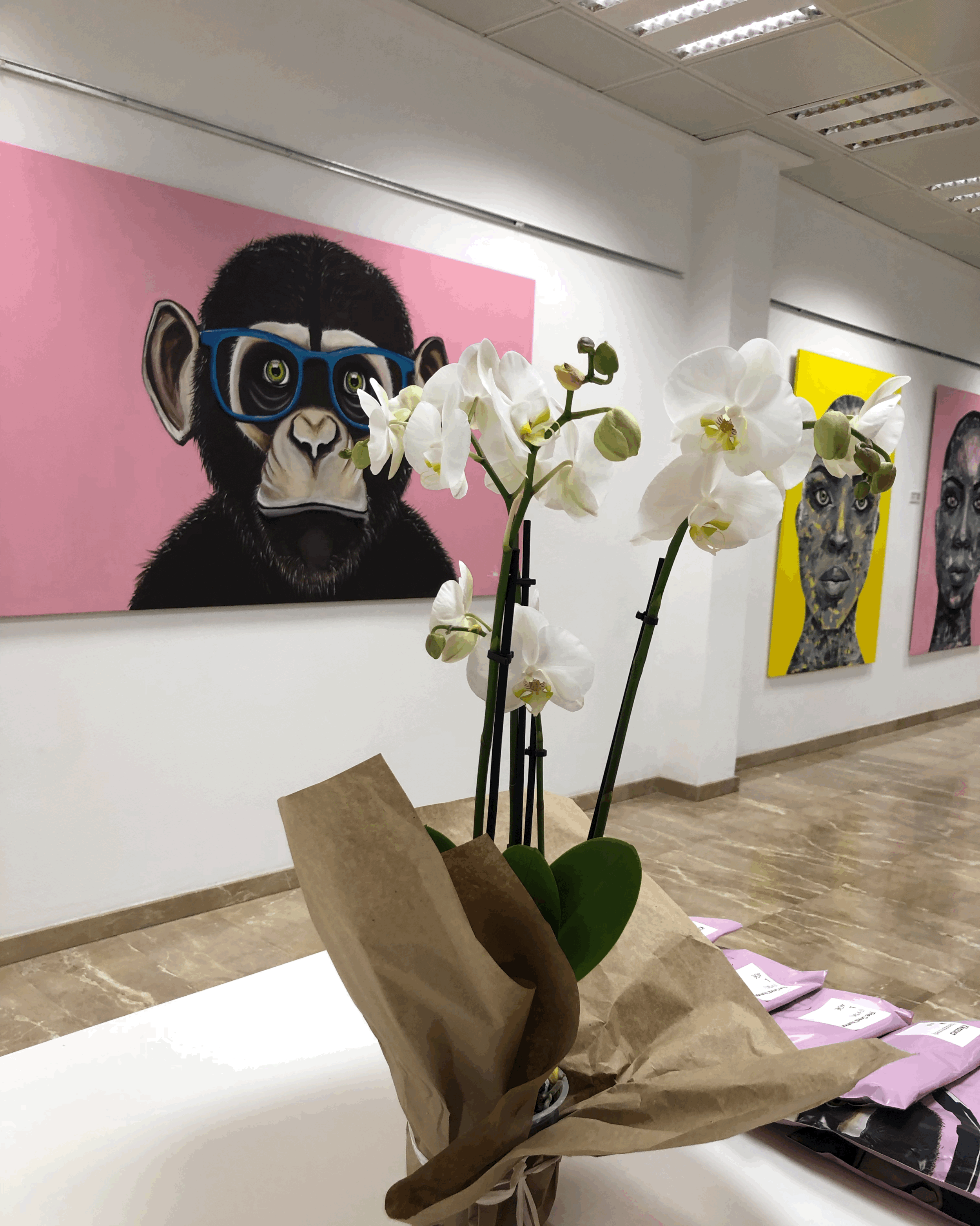 gallery view of original acrylic paintings by danish artist Jonas Skov