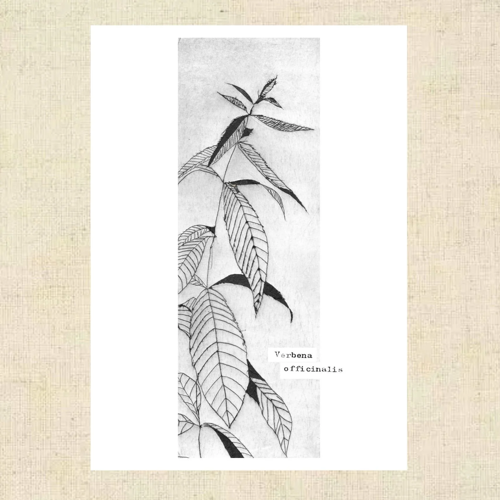 Design sans titre(12).jpg
