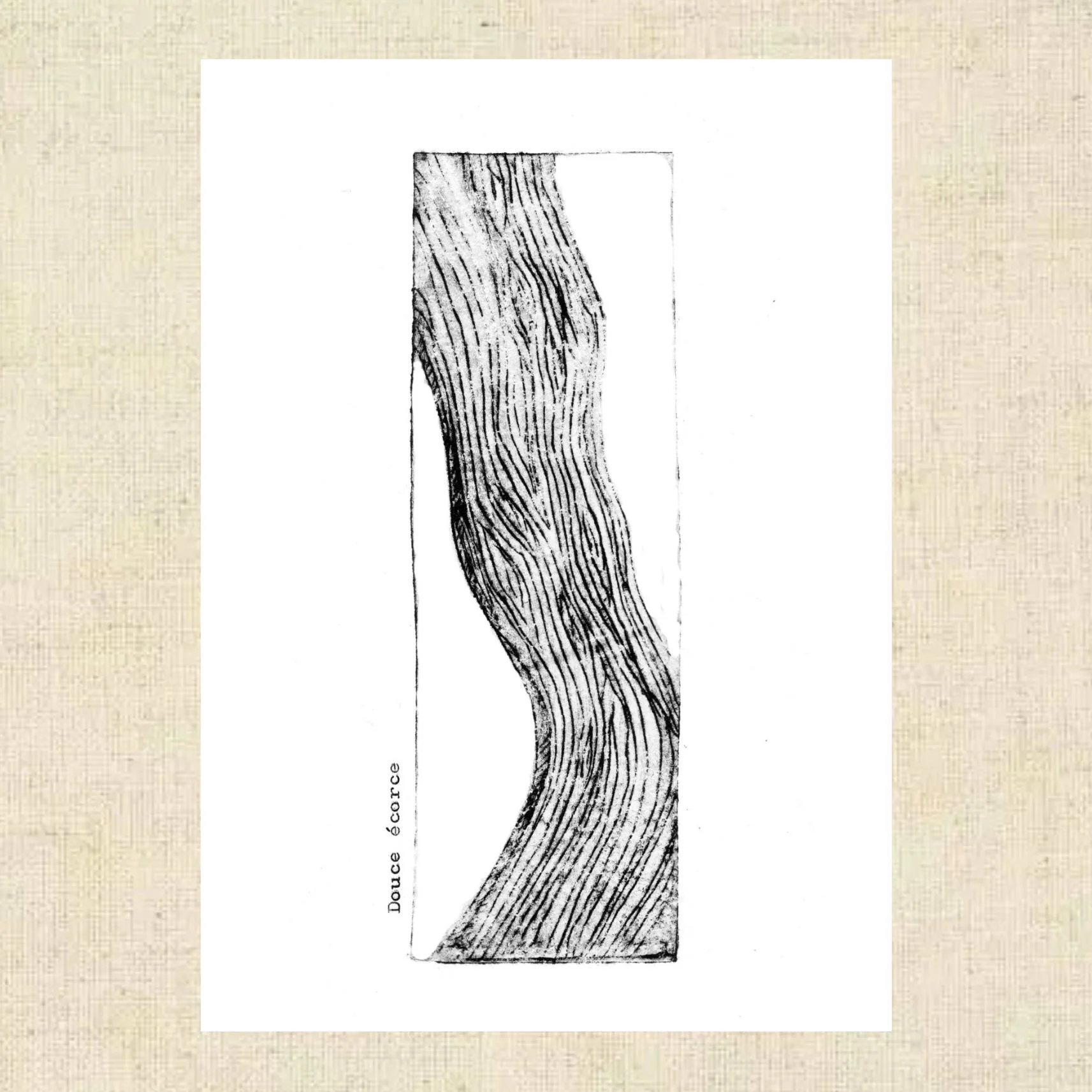 Design sans titre(9).jpg