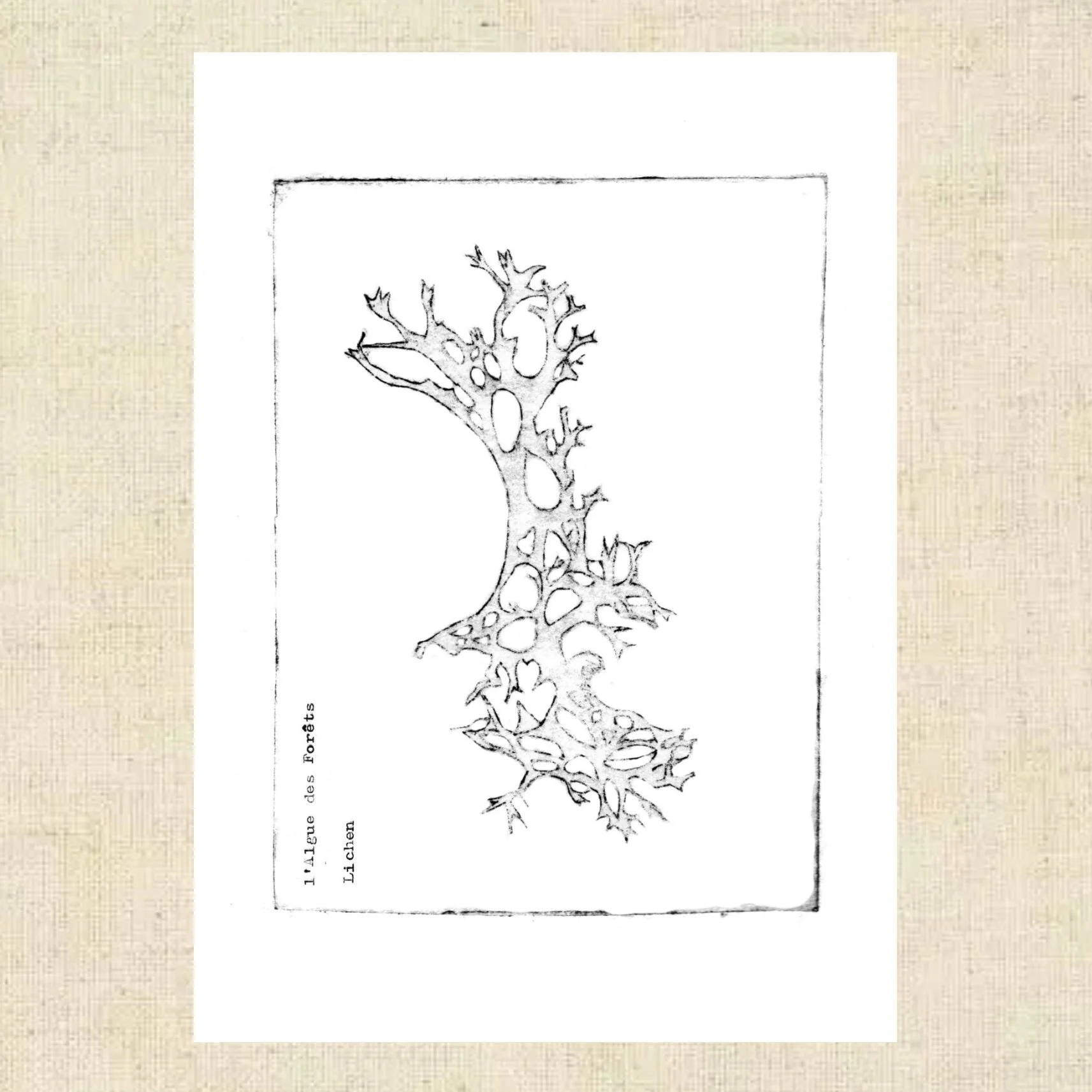 Design sans titre(7).jpg