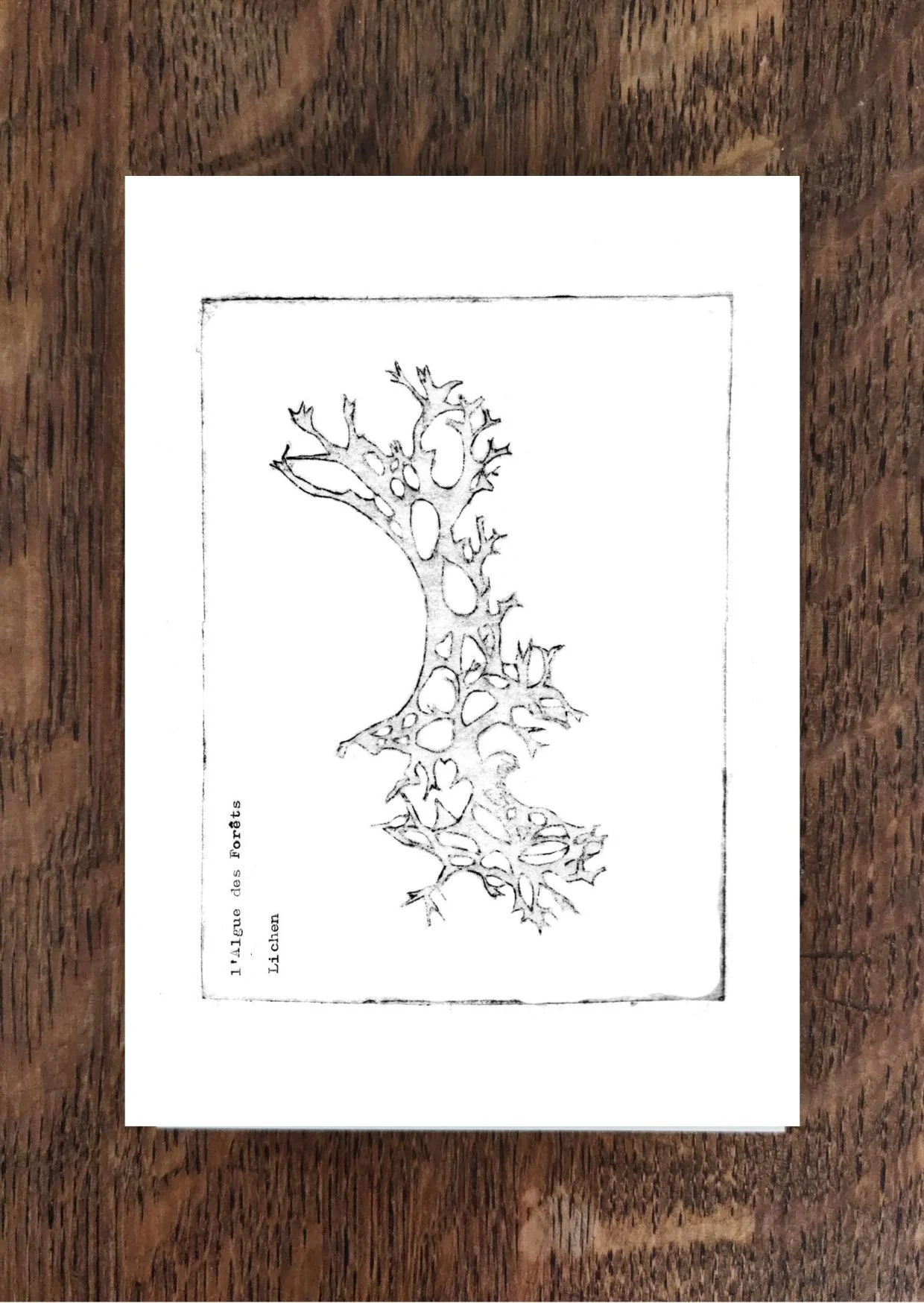 Design sans titre(6).jpg
