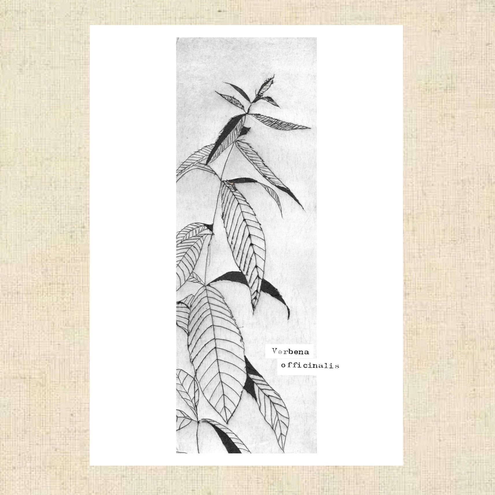 Design sans titre(12).jpg