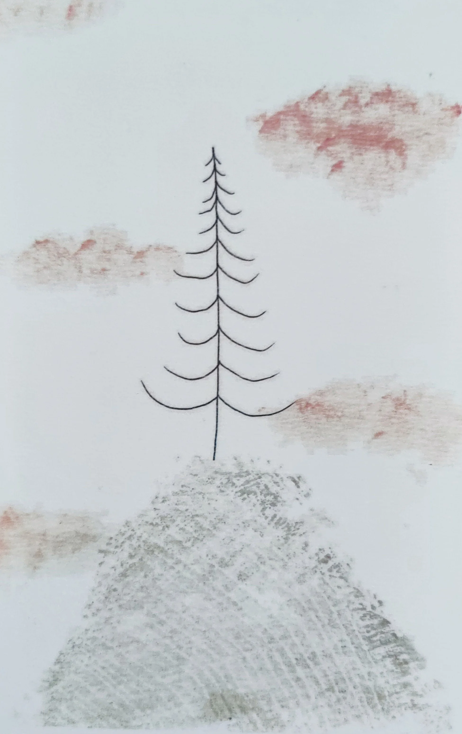 Carte postale Sapin