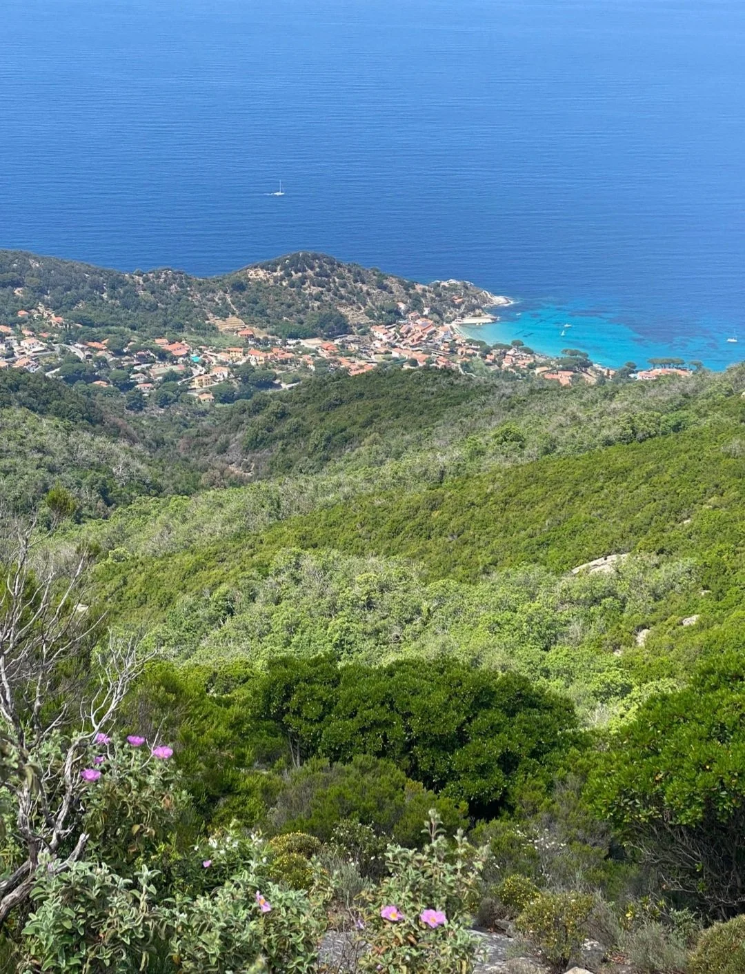 Vista panoramica di una costa mediterranea con mare blu, spiagge, case e vegetazione verde nella natura