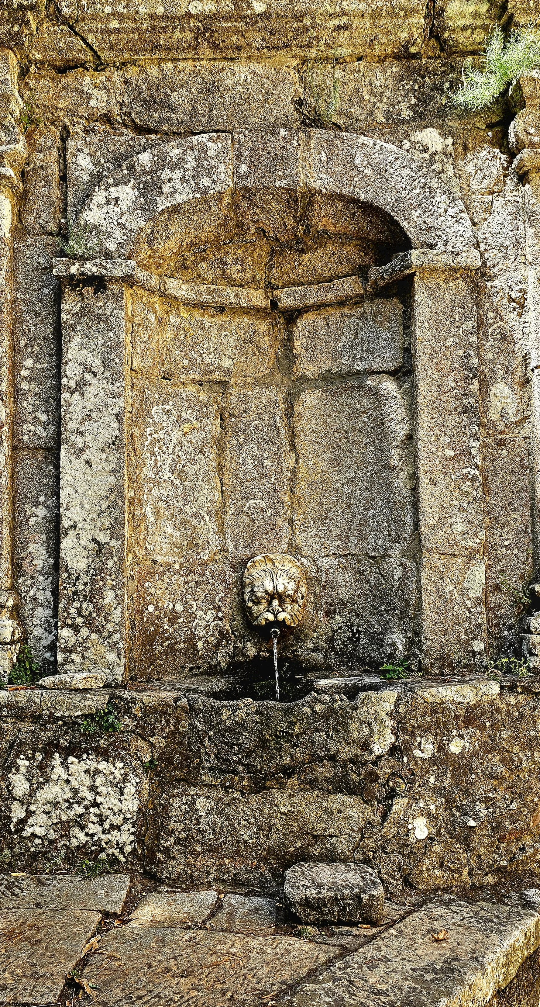 Fontana antica in pietra con maschera di leone come bocca, da cui scorre acqua, su una parete di pietra.