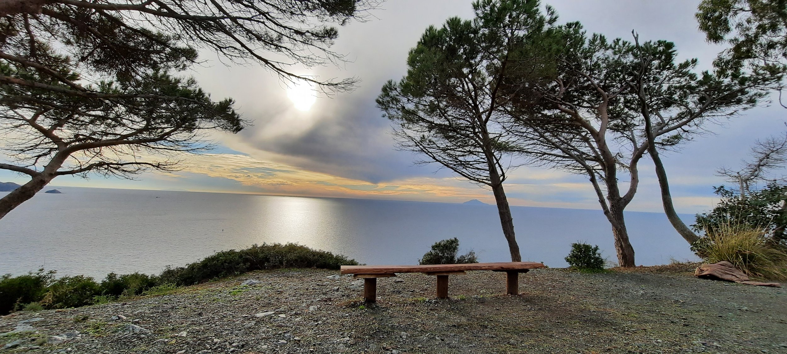 Scena con panchina di legno, alberi di pino, vista sul mare e cielo nuvoloso con il sole parzialmente nascosto.