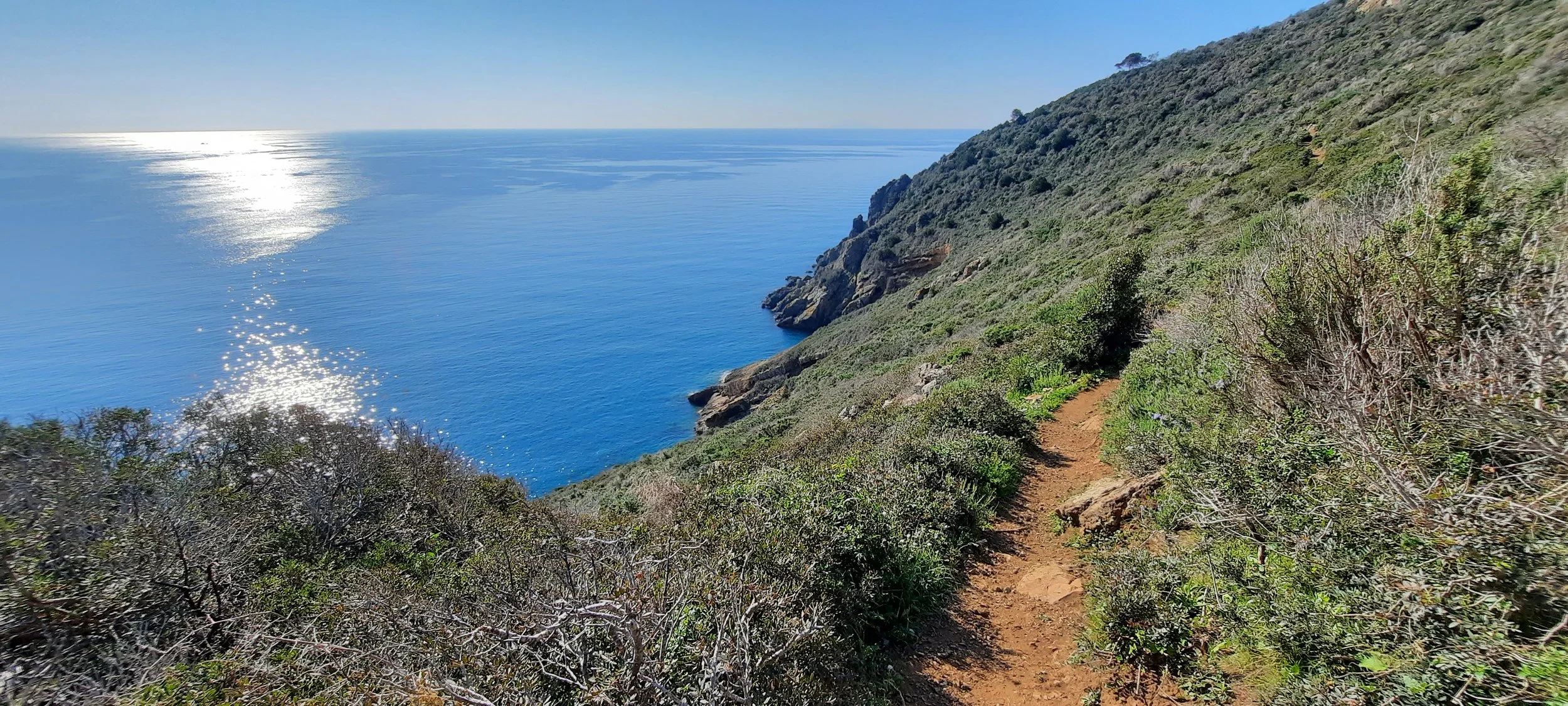 Sentiero escursionistico che attraversa vegetazione sulla scogliera con vista sull'oceano sotto un cielo chiaro e soleggiato.