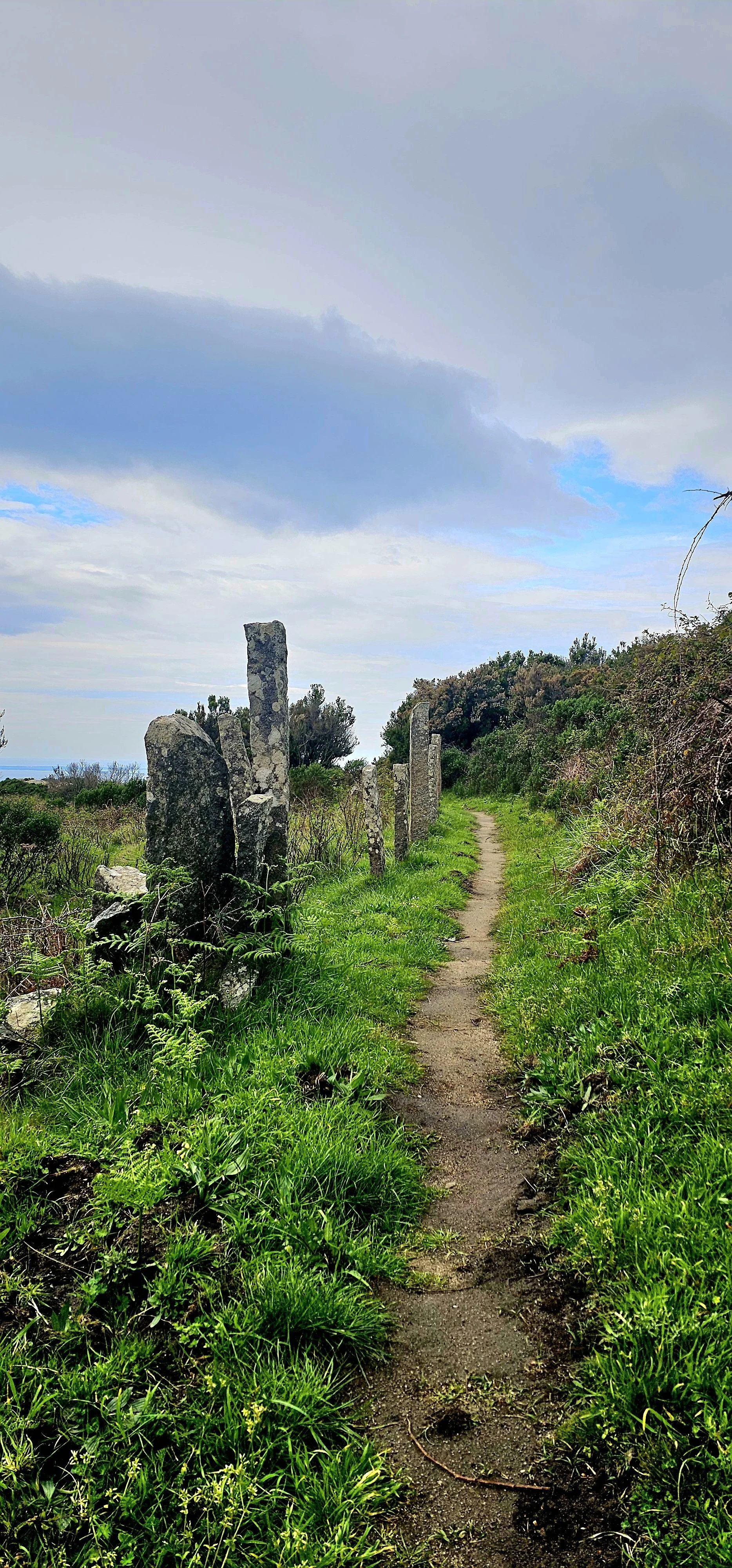 Sentiero sterrato circondato da vegetazione verde con resti di pietre antiche e cielo nuvoloso sopra.