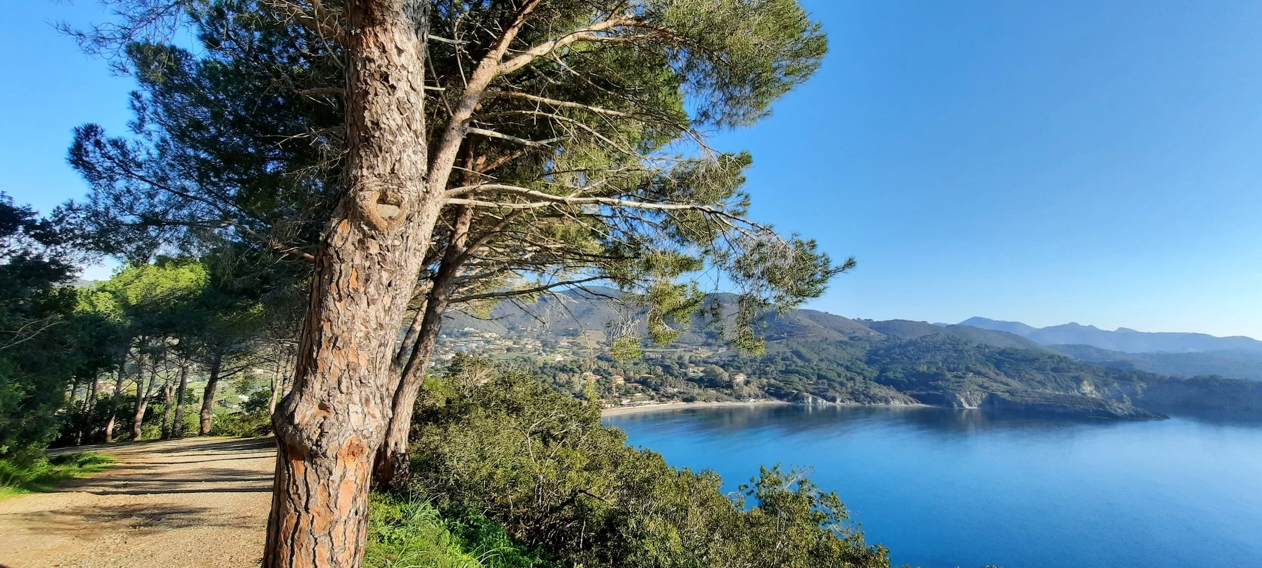 Una strada sterrata tra pini vicino a un lago circondato da montagne e vegetazione verde, con un cielo azzurro limpido.