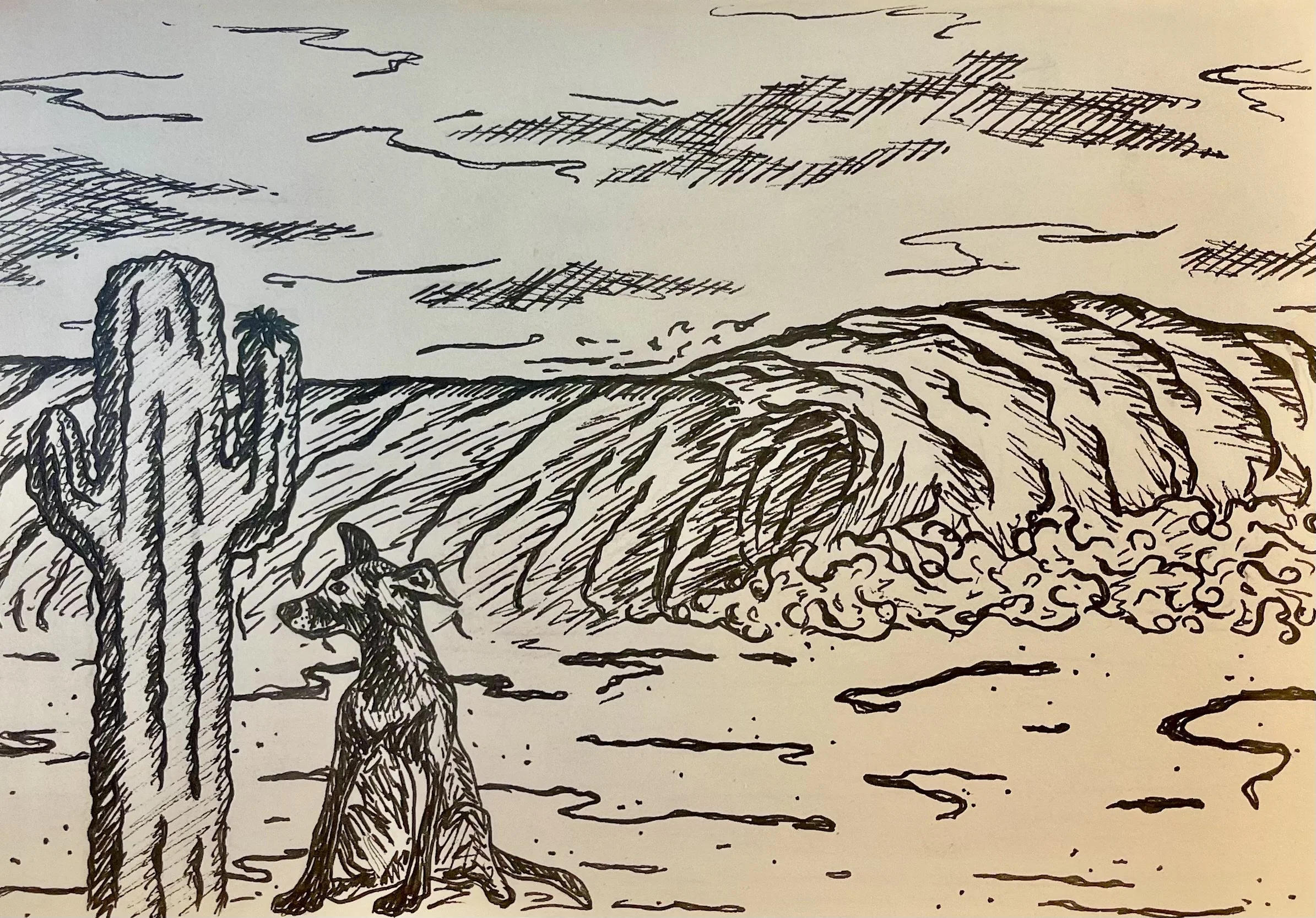 ‘Ringo of the Desert’ ink on paper