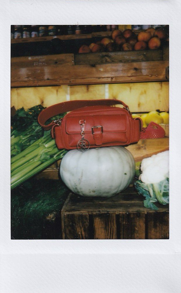 A white pumpkin with a reddish-brown purse on top, surrounded by celery, cauliflower, and other produce in a market setting.
