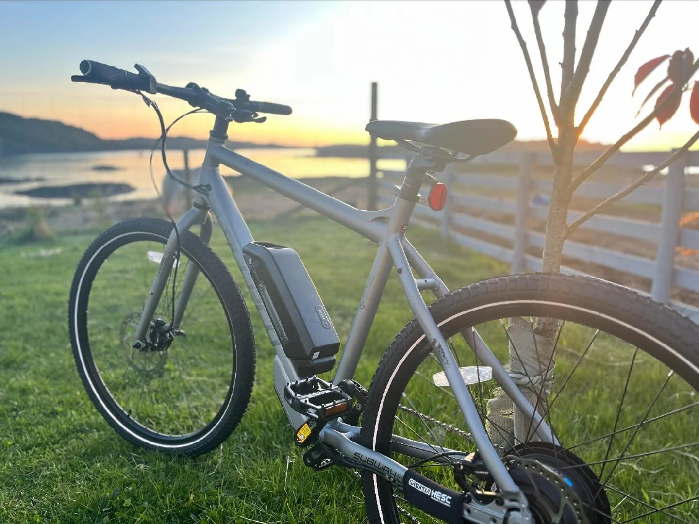 Great news! We can now deliver bikes to all holiday houses for hires of three days or more. That means no more hassle picking them up and more time to enjoy you!
Price list for three day hires:  Mountain bikes-£50
Electric bike-£85
Childr