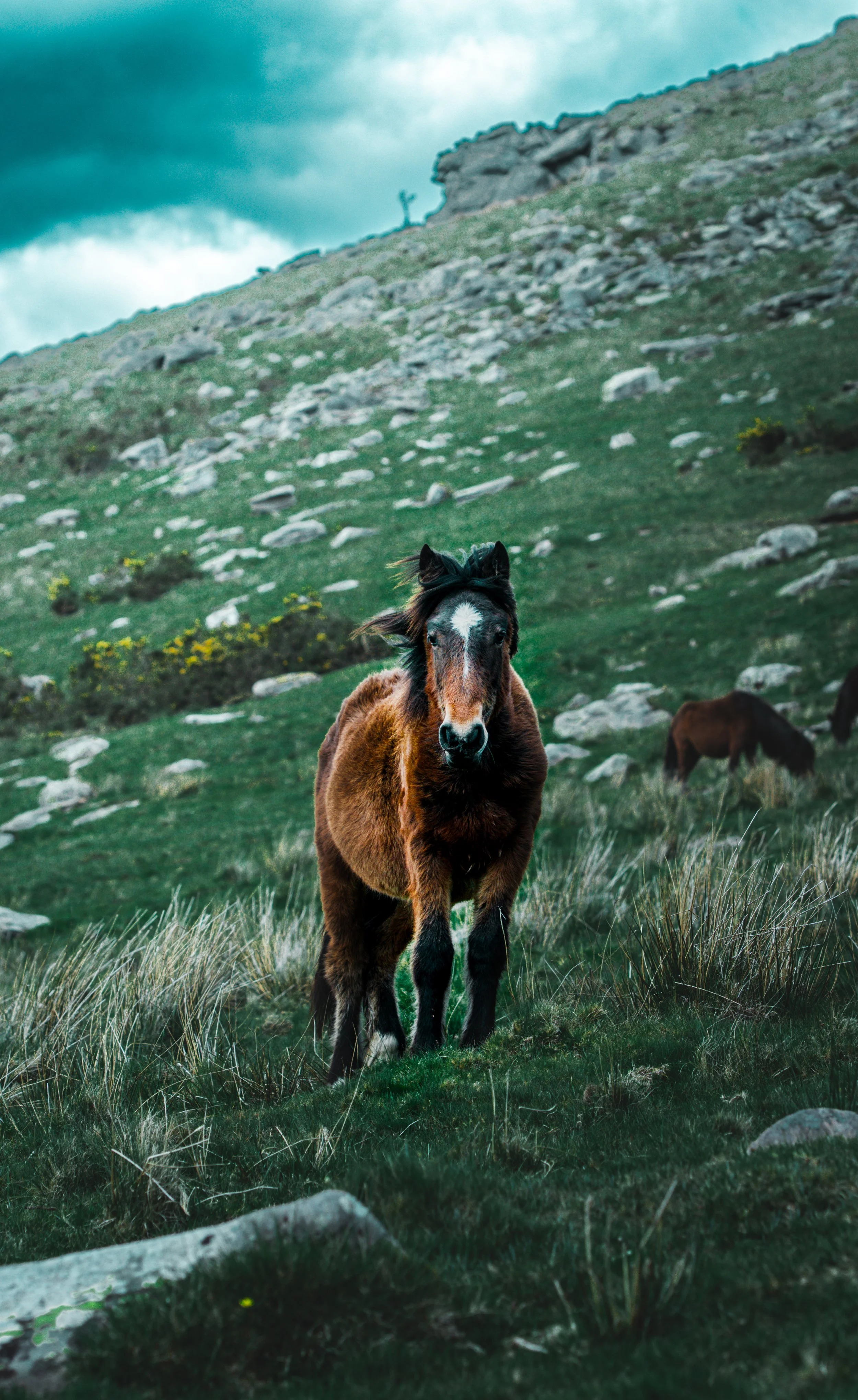 La beauté de la Nature