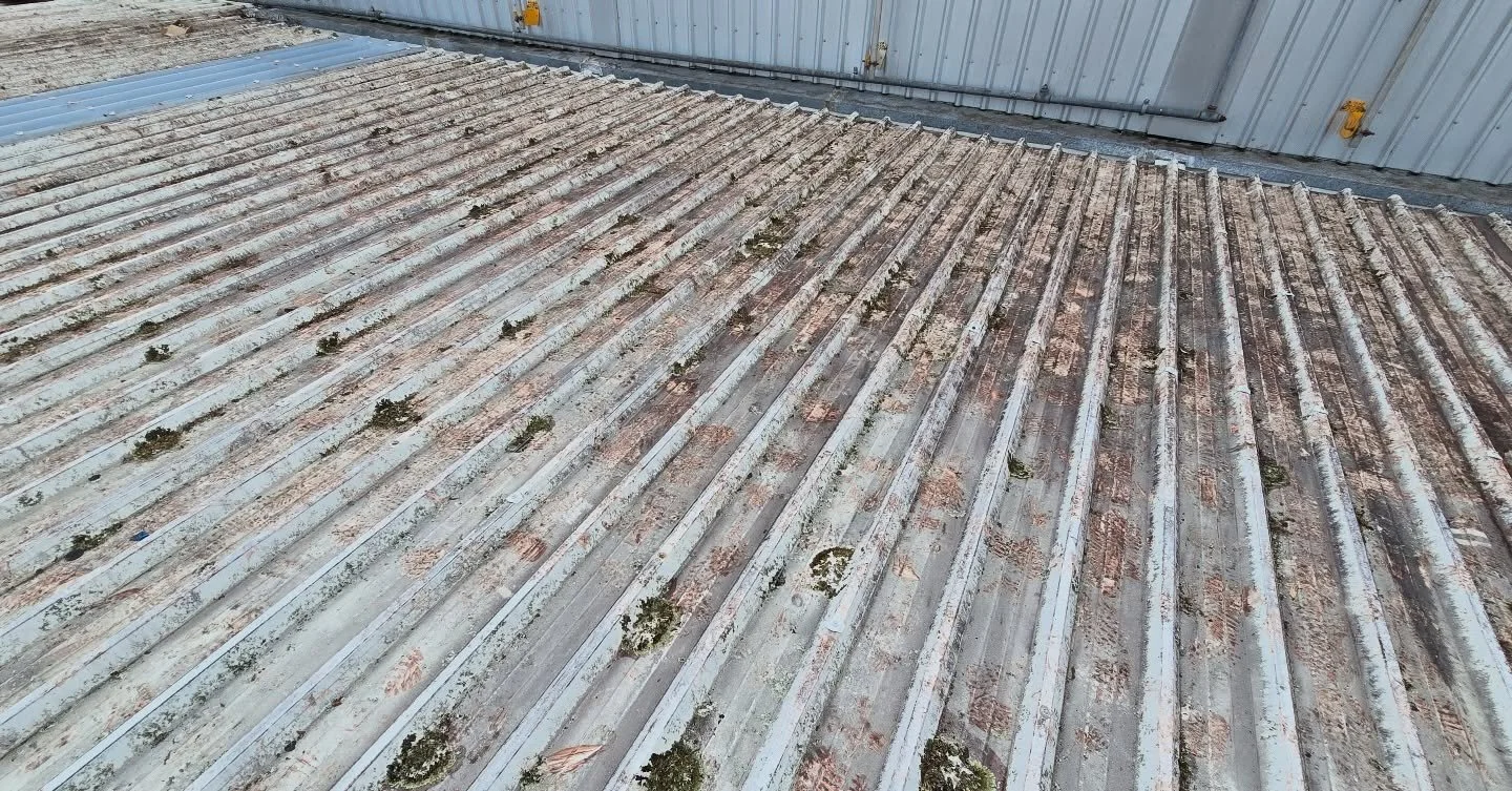 Commercial roof washing done properly.
We don&rsquo;t spray and walk away.
We get up there and soft wash the roof to safely remove grime, moss and buildup.

✔️ Extends the life of your roof
✔️ Prevents long-term damage
✔️ Looks a shit ton better

If 