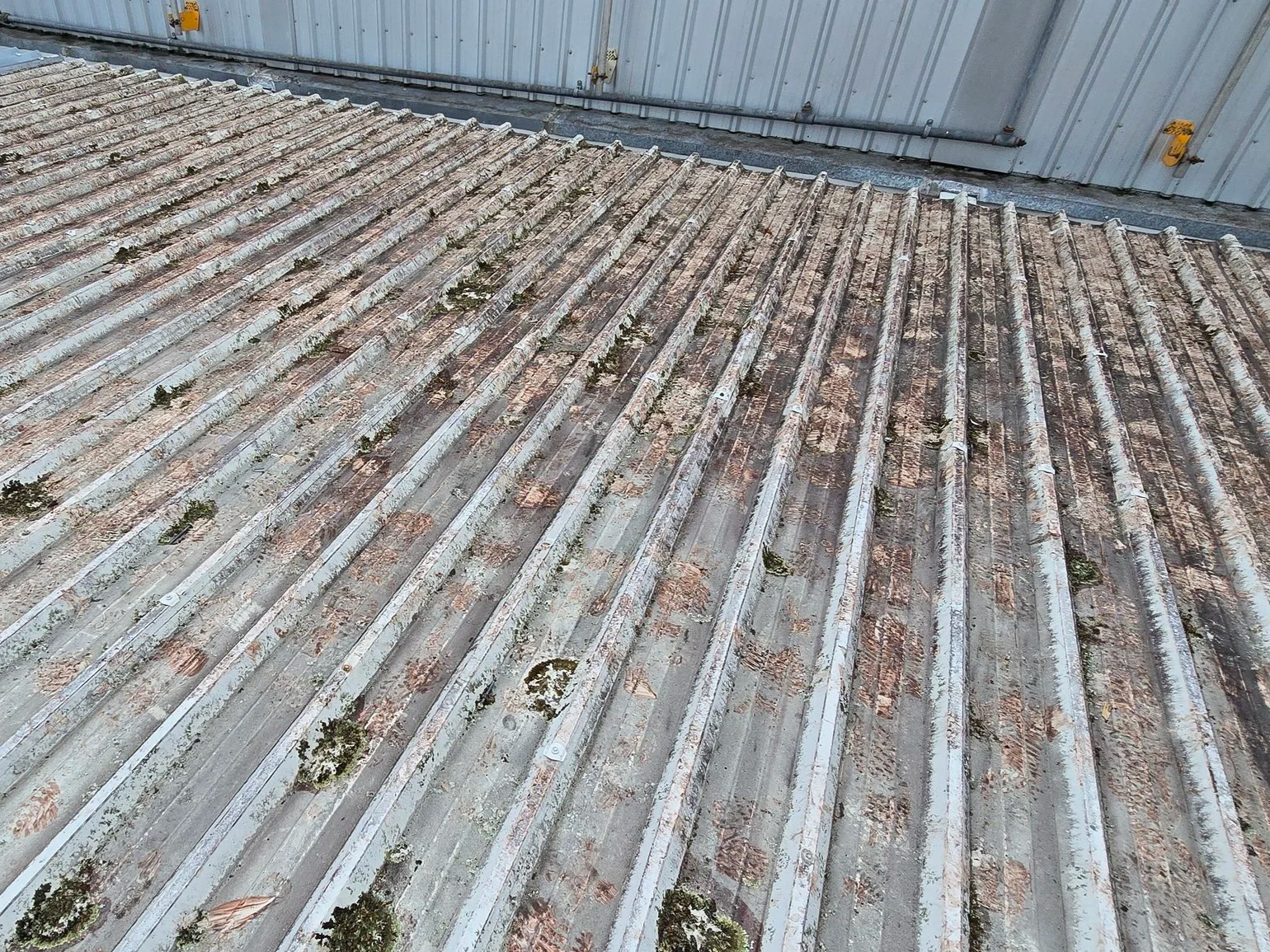 Close-up of a dirty, weathered corrugated metal roof with moss and leaves between the ridges.