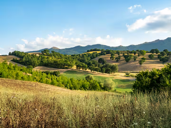 Paesaggio collinare con alberi e campi, montagne sullo sfondo, cielo azzurro con nuvole.
