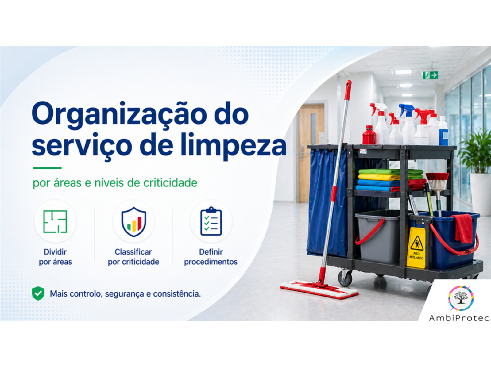 Organização do serviço de limpeza por áreas e por níveis de criticidade