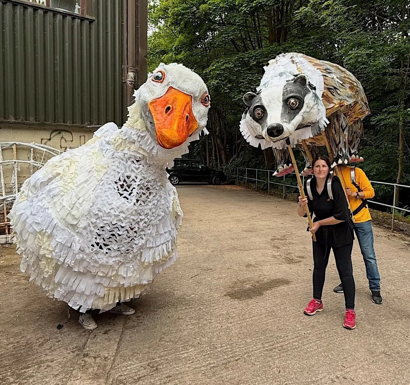 You know that feeling when you spot a goose in your photo library and then spot your shoes and realise it&rsquo;s you &hellip;..&hellip;&hellip; no? 

Fun times making these magnificent creatures with @thingumatheatre in the summer and the wonderful 