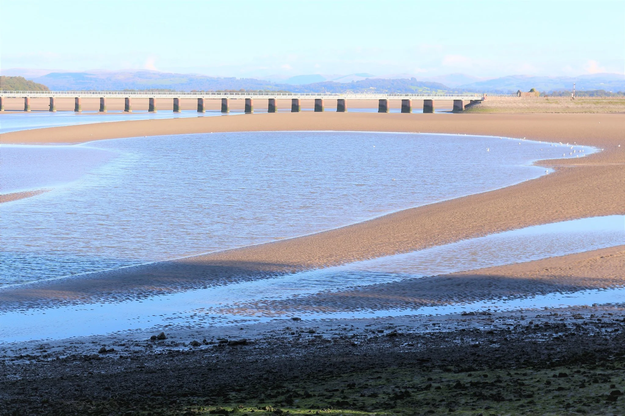 Yoga Day in Arnside