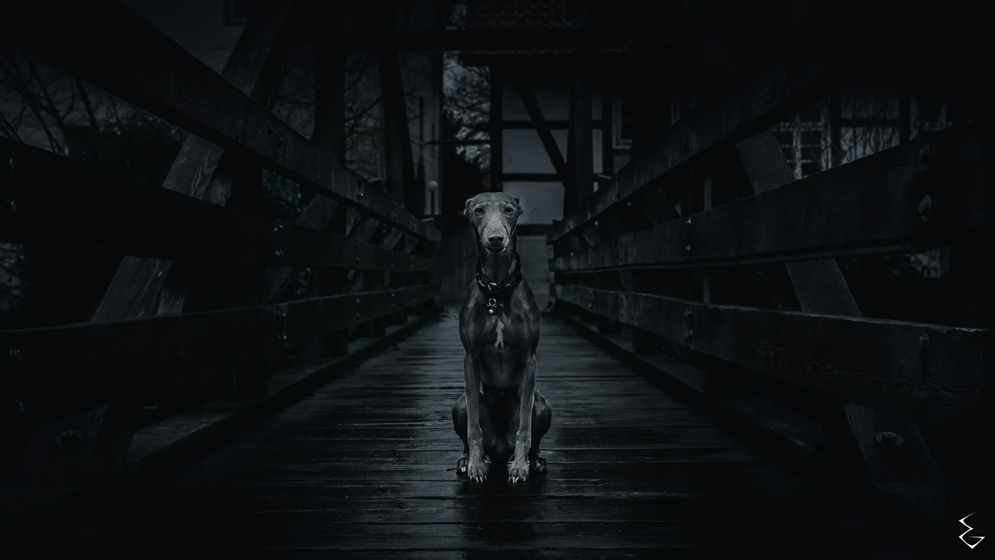  TRUCE  
 /truːs/  
“Rain on timber. A pact in silence. Tension held.”