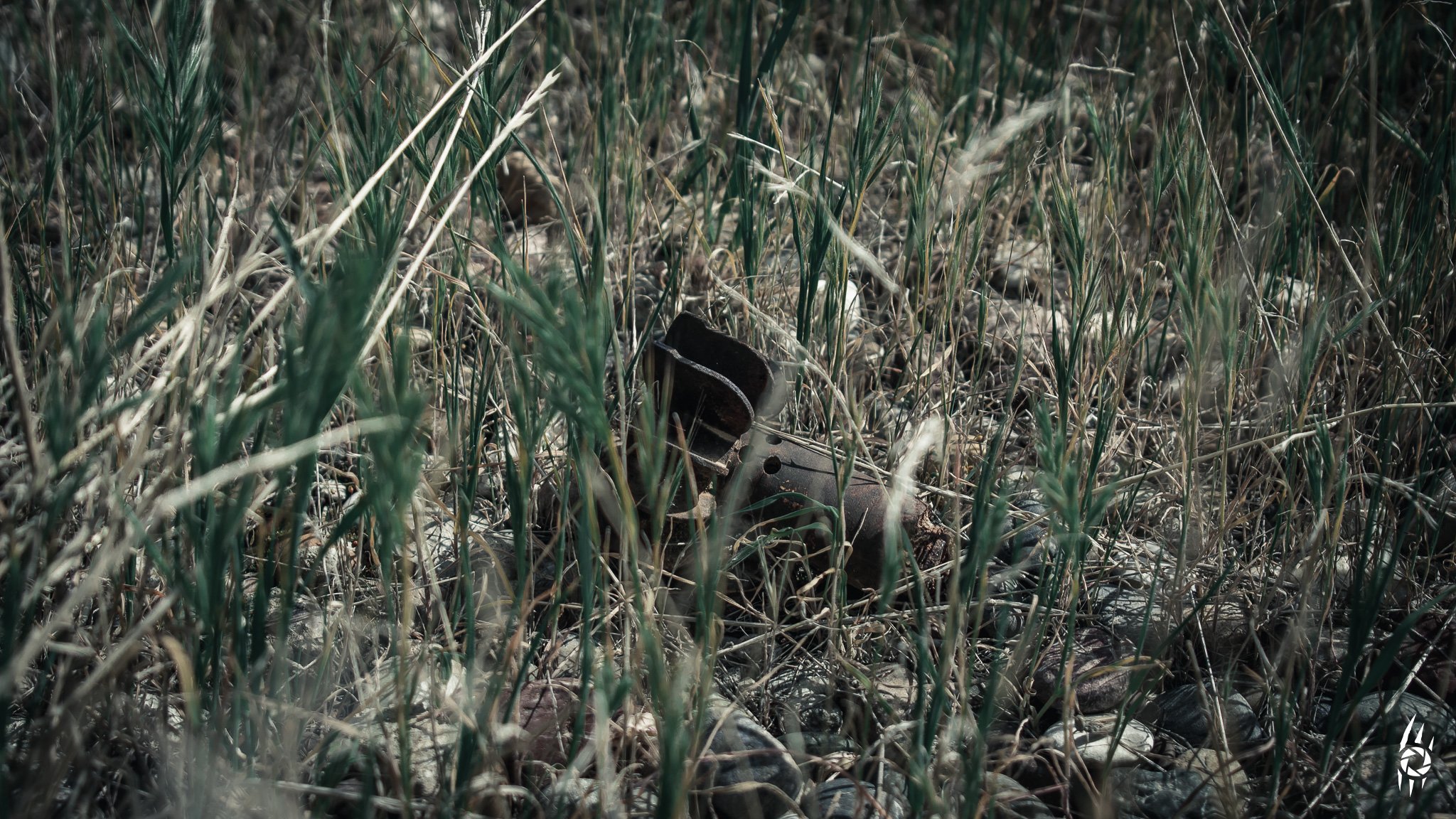 BLIND SEED
/blaɪnd siːd/
"Buried in green. Waiting without memory or mercy."