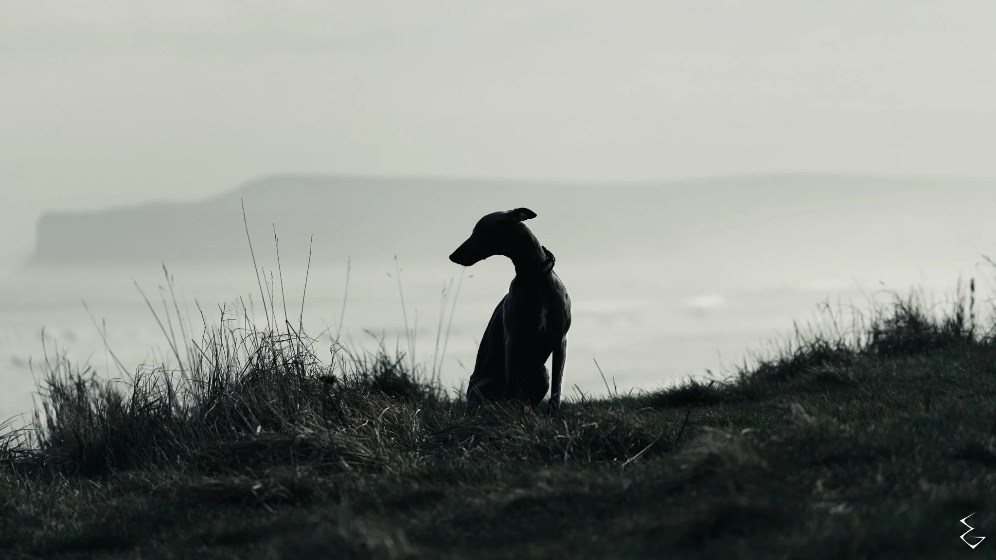  WARDEN  
 /ˈwɔː.dən/  
“He waits with the land. Wind at his back. Eyes never still.”