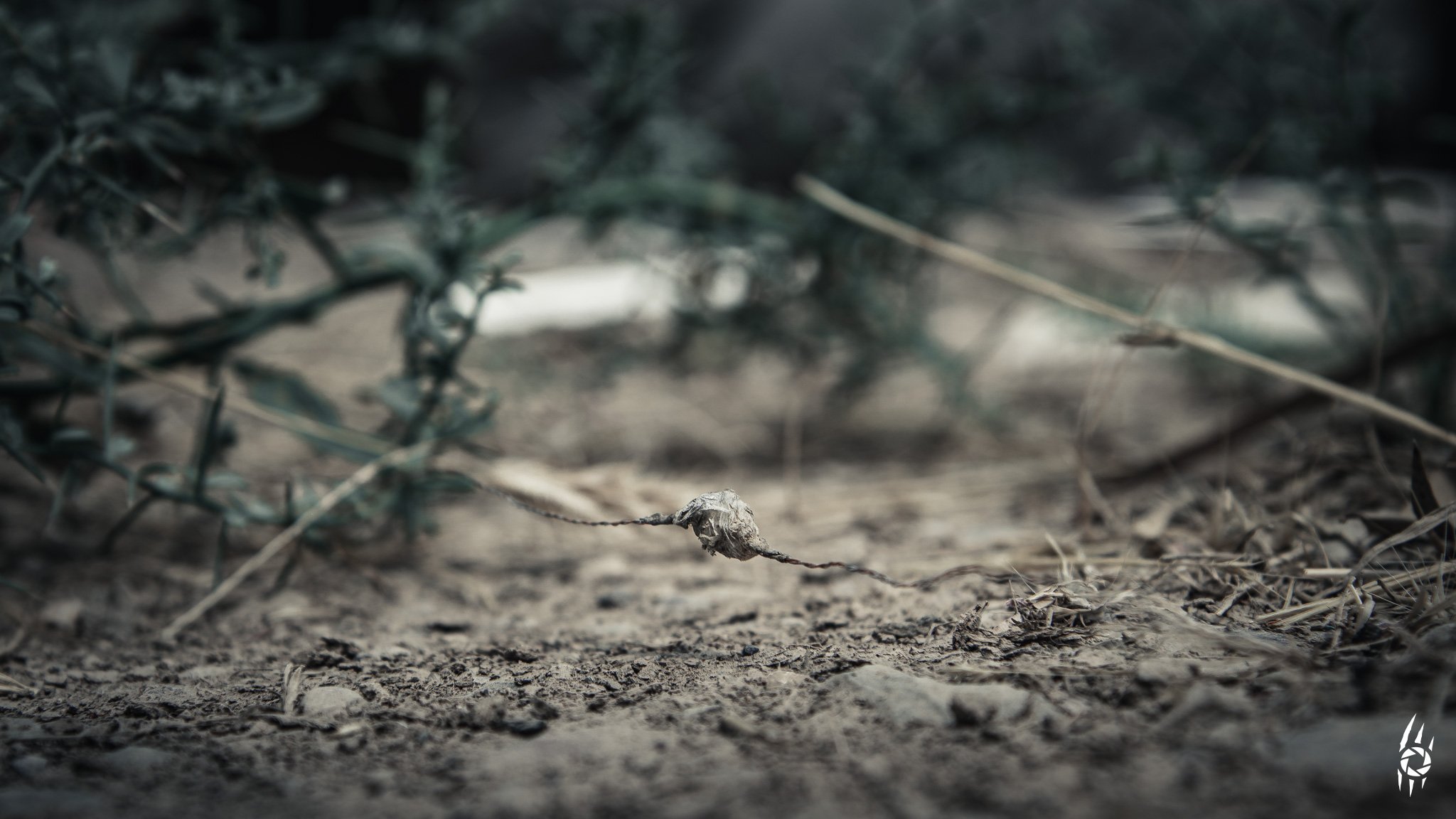 WHISPERWIRE
/ˈwɪs.pə.waɪə/
"Thin as a breath. Deadly as a vow."