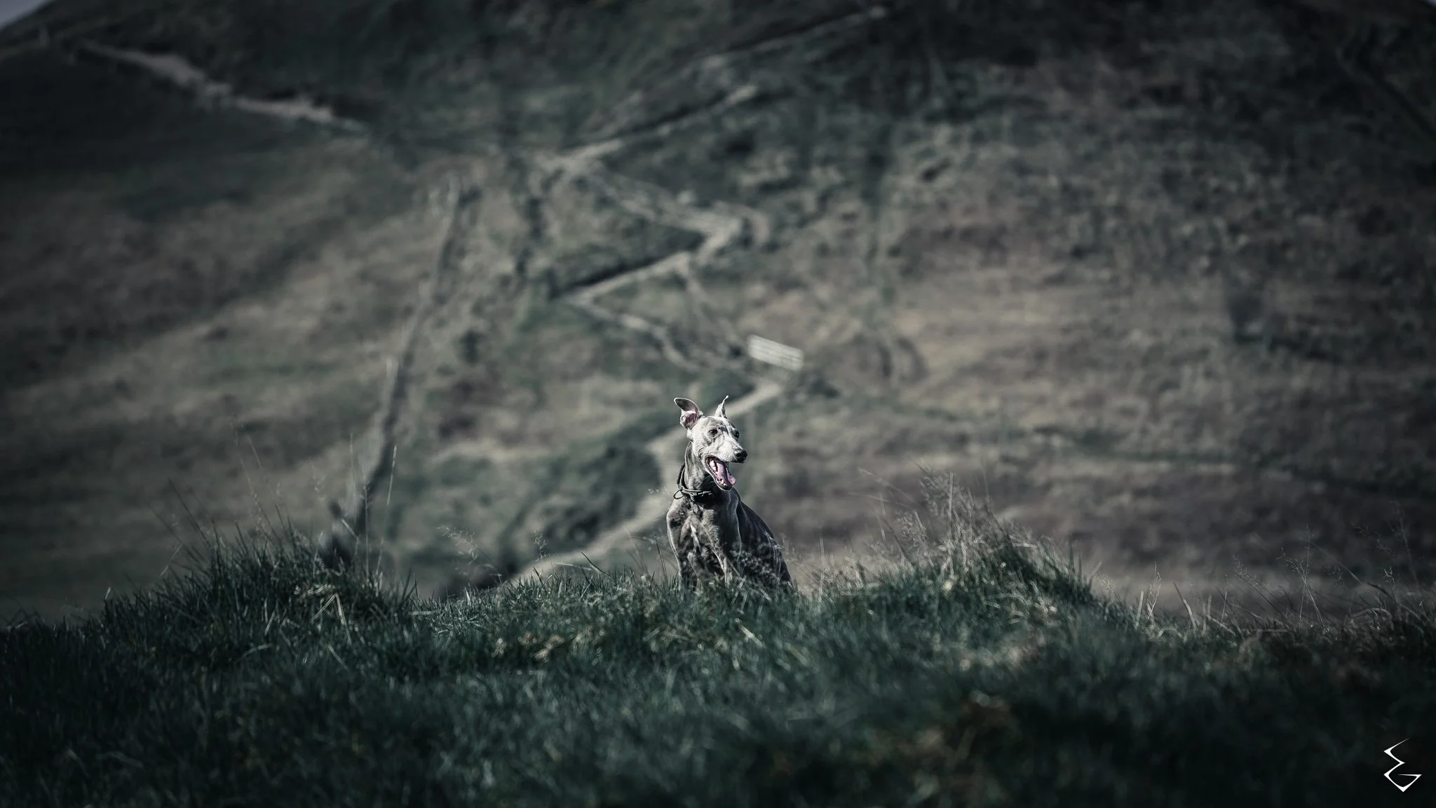  THE RIDGE  
 /ðə rɪdʒ/  
“Tiny against the hill, but towering in spirit.”
