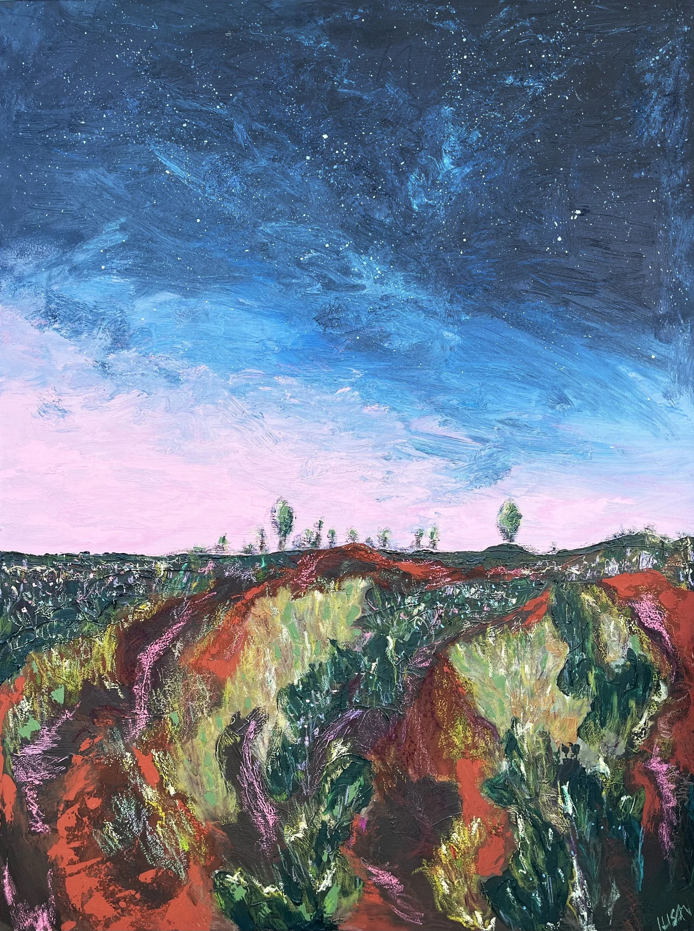 2. Field of Lights_0.jpg