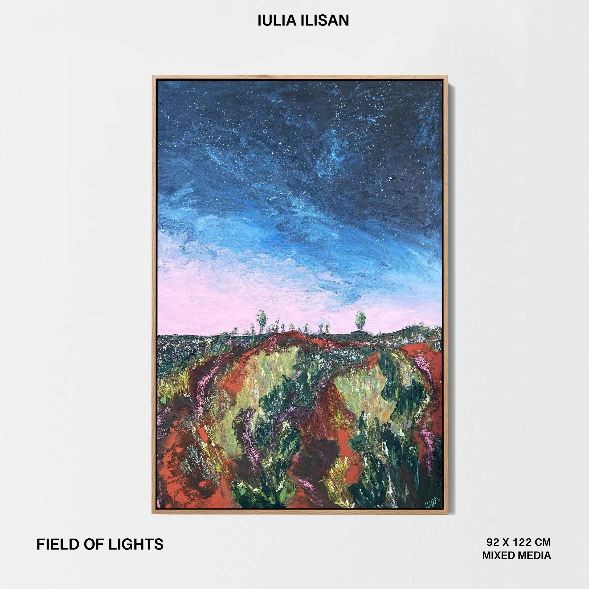 2. Field of Lights.jpg