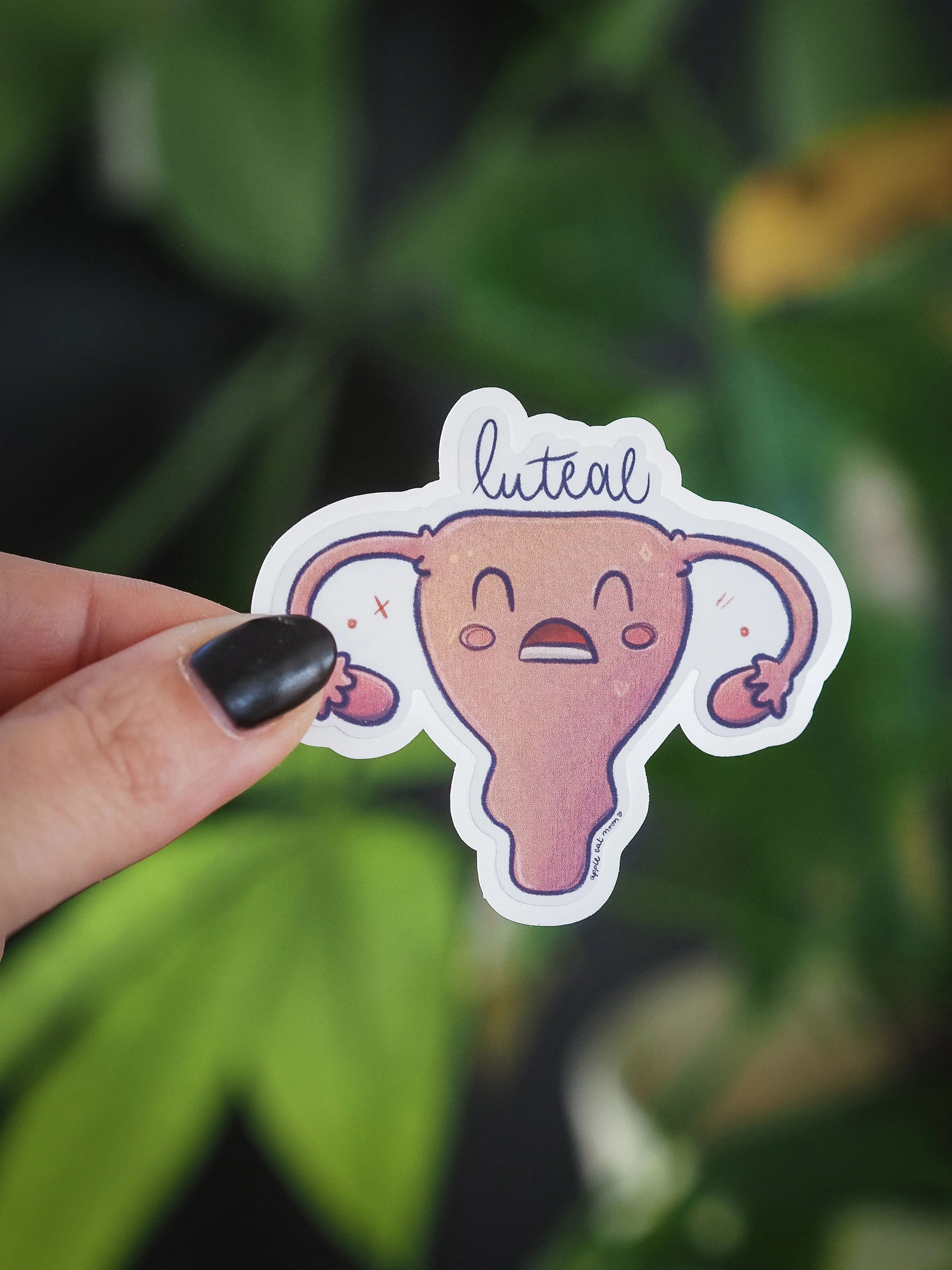 Luteal Sticker