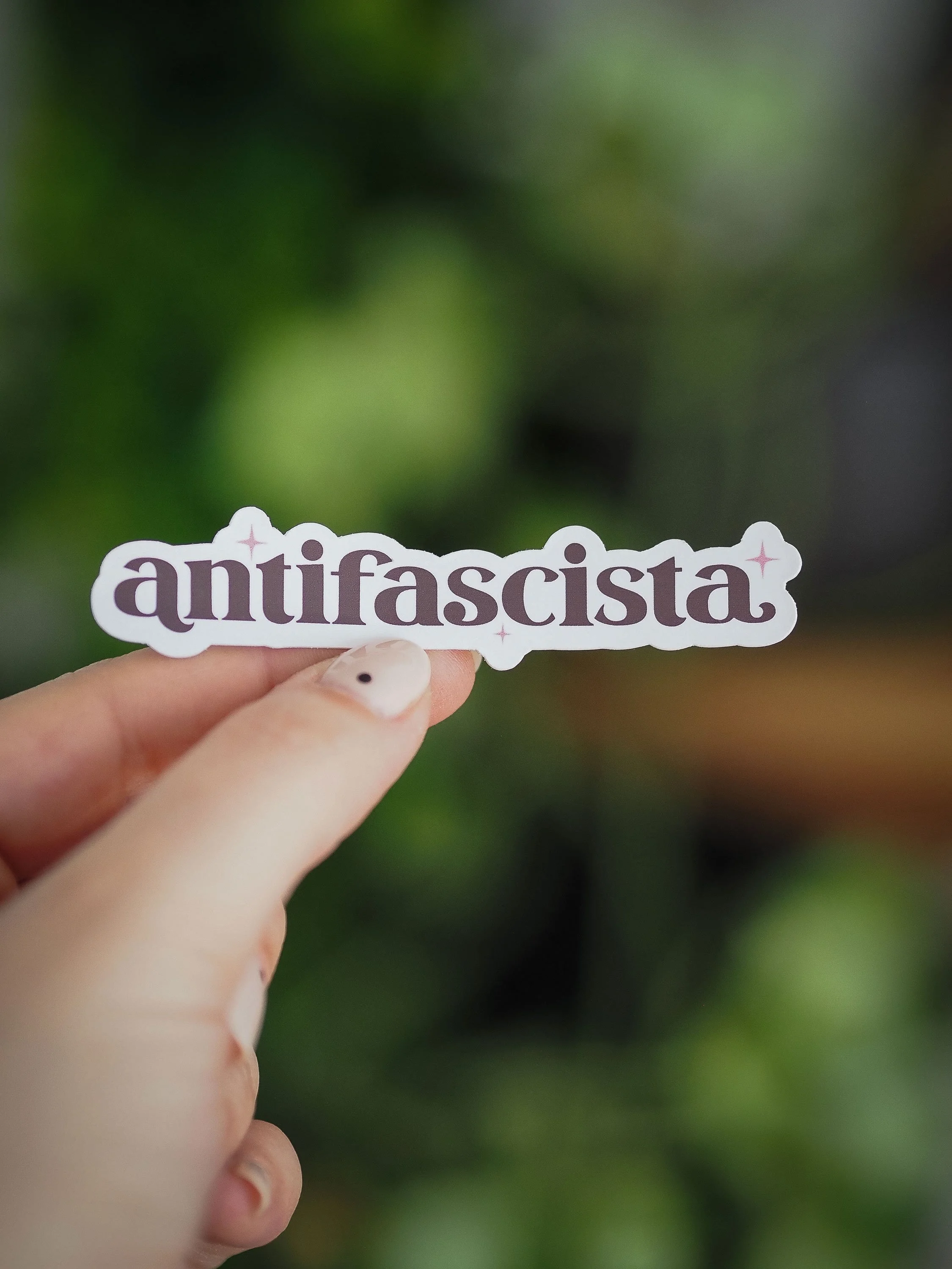 Antifascista Sticker