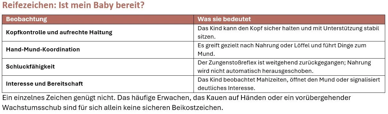 Eine Tabelle mit der Überschrift "Reifezeichen: Ist mein Baby bereit?" und vier Beobachtungen mit Beschreibungen, was sie bedeuten, einschließlich Kopfkontrolle, Hand-Mund-Koordination, Schluckfähigkeit sowie Interesse und Bereitschaft. Unten ein Text, der erklärt, dass ein einzelnes Zeichen nicht ausreicht, und betont, dass das tatsächliche Erwachen und Kauen keine sicheren Beikostzeichen sind.