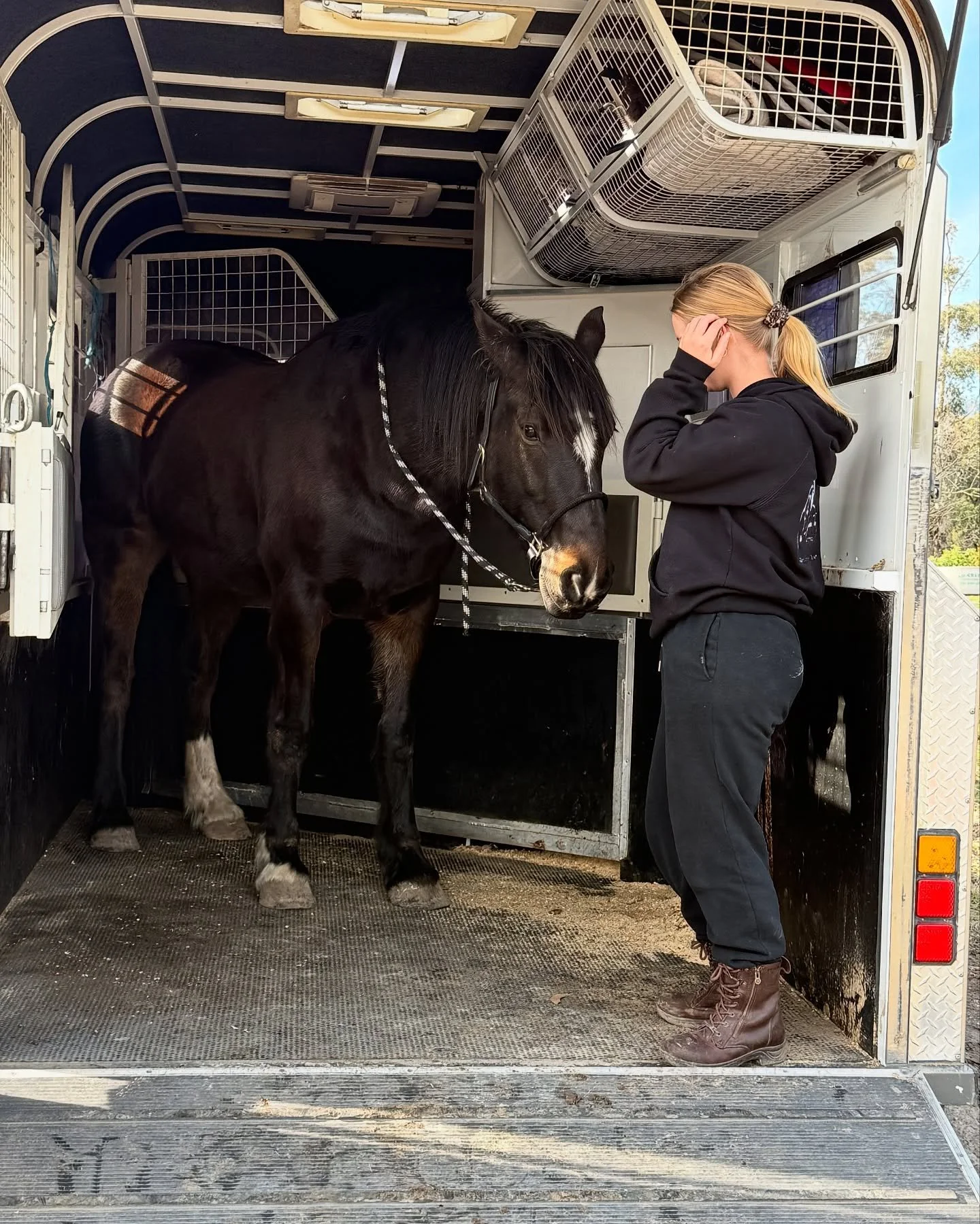 This is what I mean , he just gets it🥰

When I first got him about three years ago, he was dropped off on an open trailer. Since then, I&rsquo;ve done next to no float training. And today&hellip; he loaded without a fight.

Our bond is built on soft