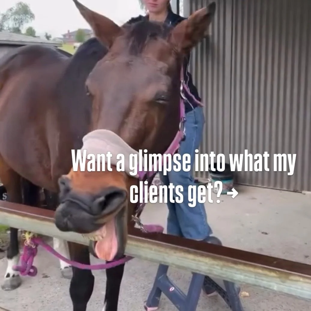 This is what working with me actually looks like 🤍

Not just a session&hellip;
but a plan, guidance, and ongoing support for your horse.

Because real results don&rsquo;t come from one massage,
they come from what you do in between.

This is the sta