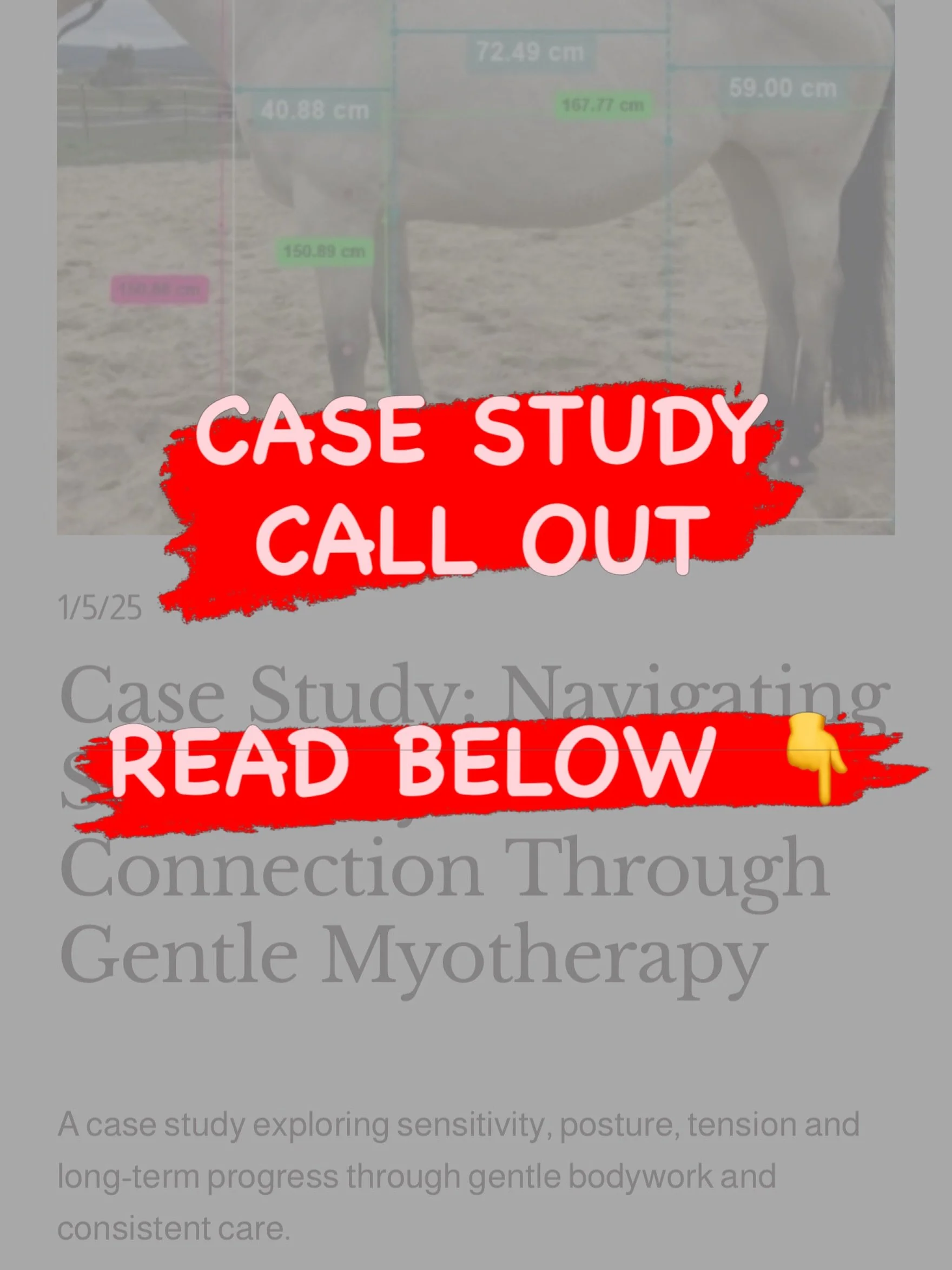 🐴 Equine Myotherapy Case Study Call Out 🐴

I&rsquo;m looking to take on 2&ndash;5 horses for an in-depth Equine Myotherapy case study journey.

If your horse has ongoing soreness, tension, behavioural changes, movement restrictions, performance iss