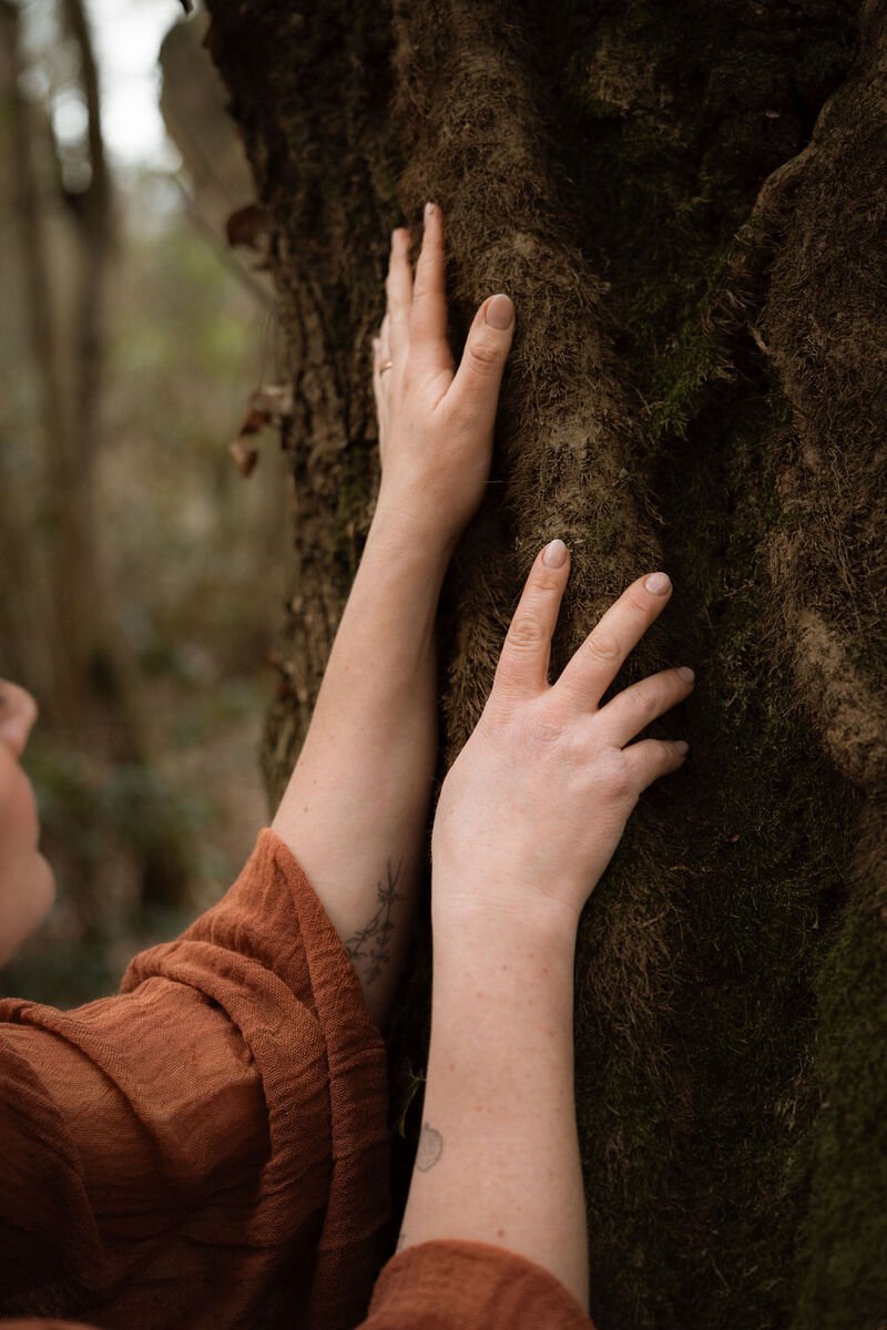 Two hands gently touching the moss-covered trunk of a large tree in a forest setting.