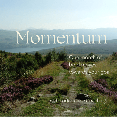 Path through a green landscape with hills and purple flowers, with text promoting a coaching program called Momentum.