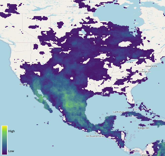 Screenshot 2026-02-11 at 19.57.58.png