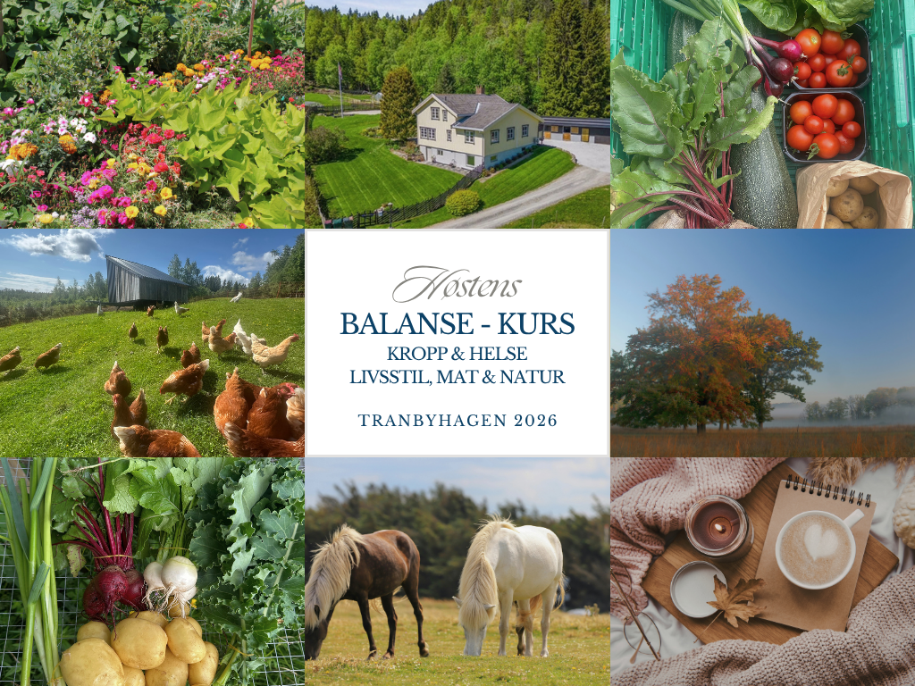 BALANSE kurs på Tranbyhagen