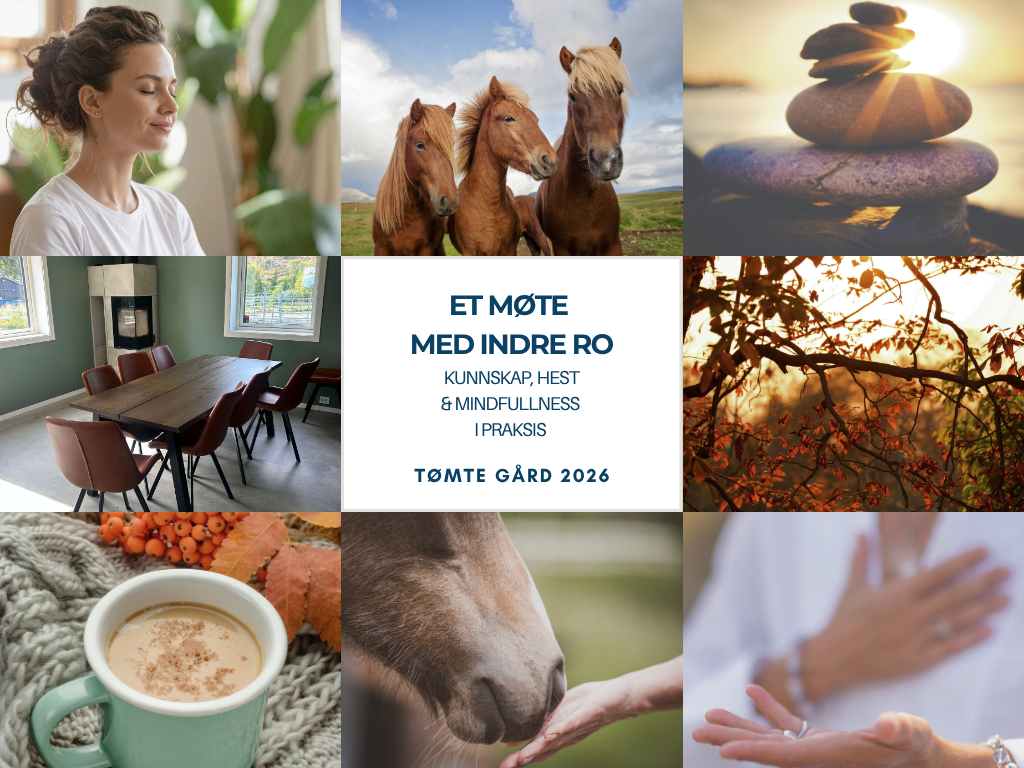 ET MØTE - MED INDRE RO 
