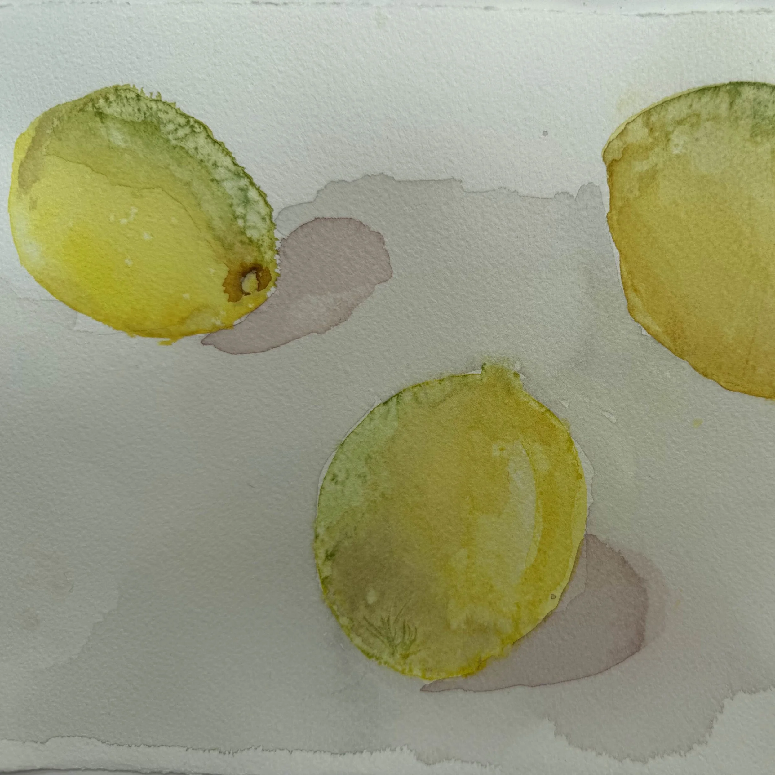 lemons.jpg