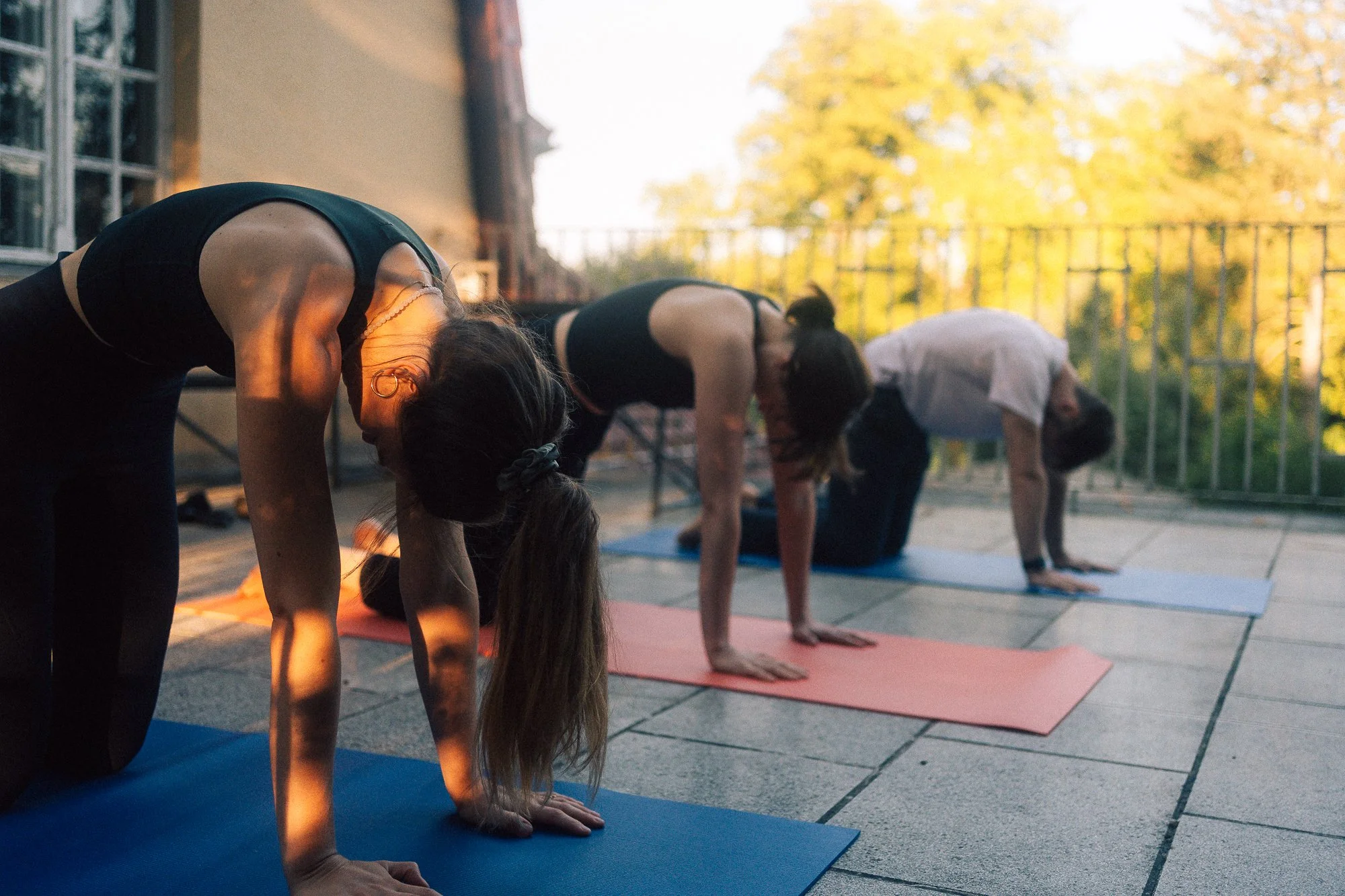neupitz_yoga.jpg