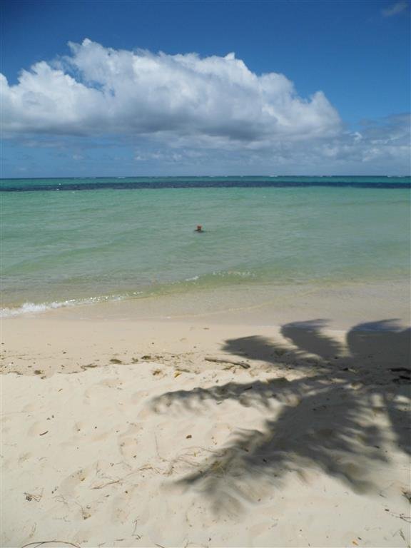 p1010569-medium.jpg