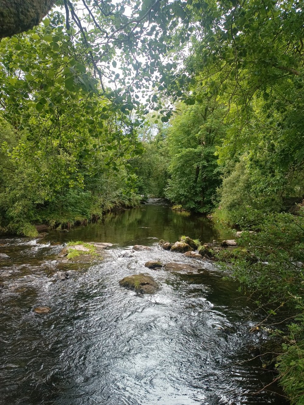 The River Rothay