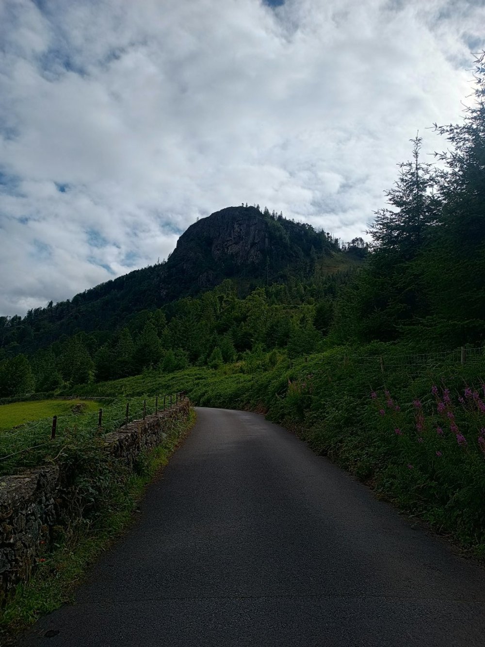 IMG_20250709_171913776_HDR (Medium).jpg